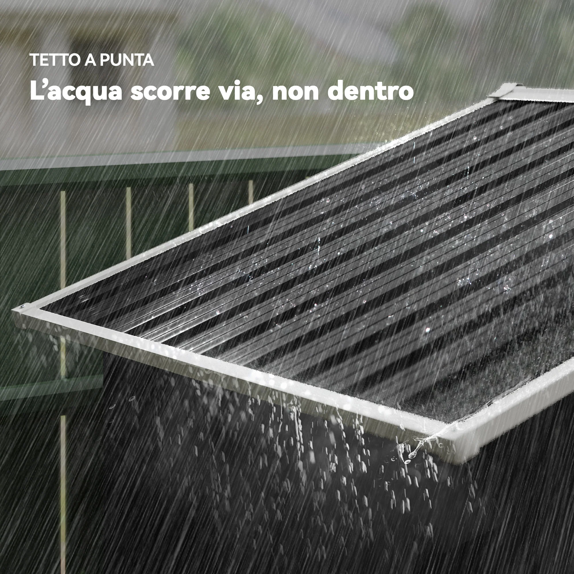 Immagine prodotto 6