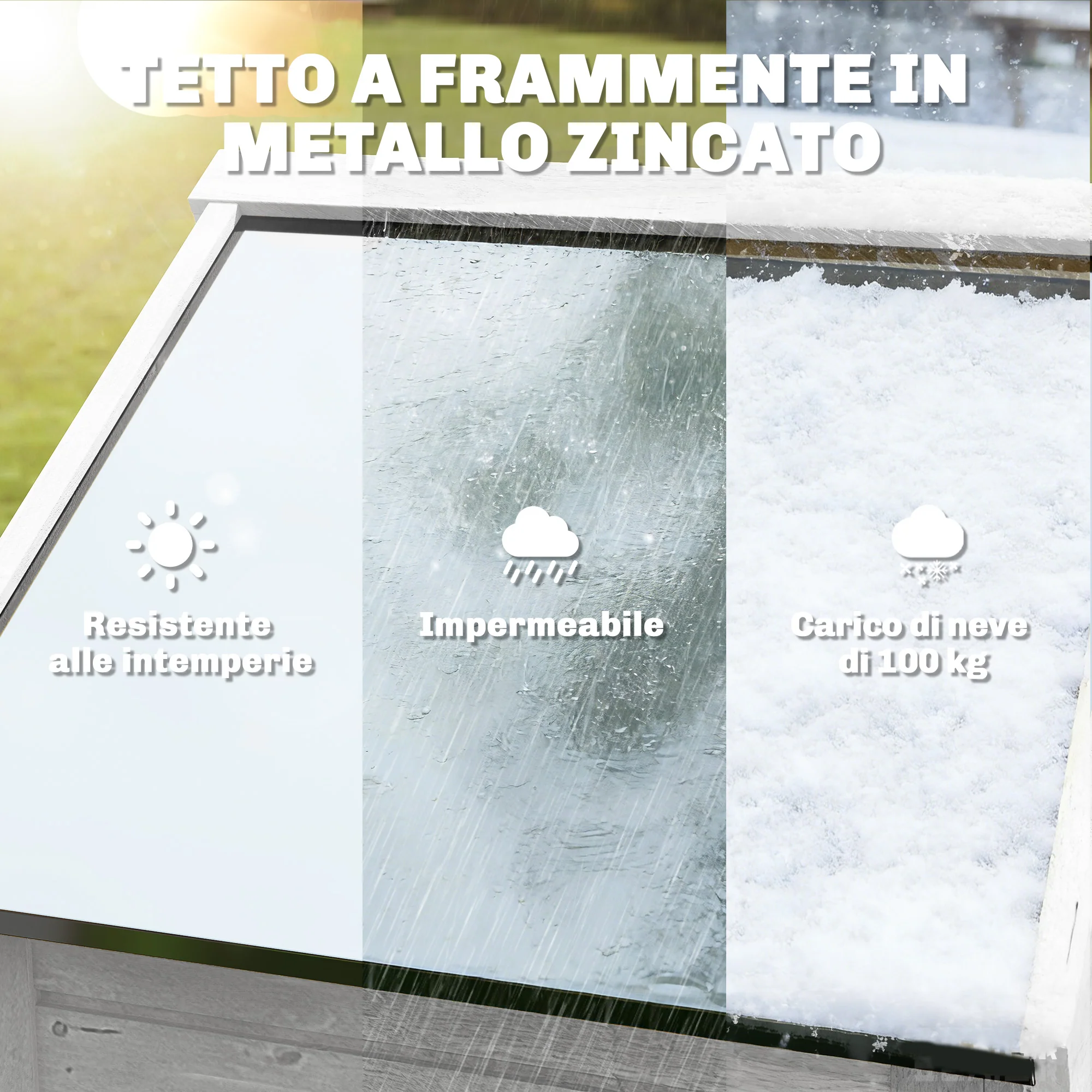 Immagine prodotto 6