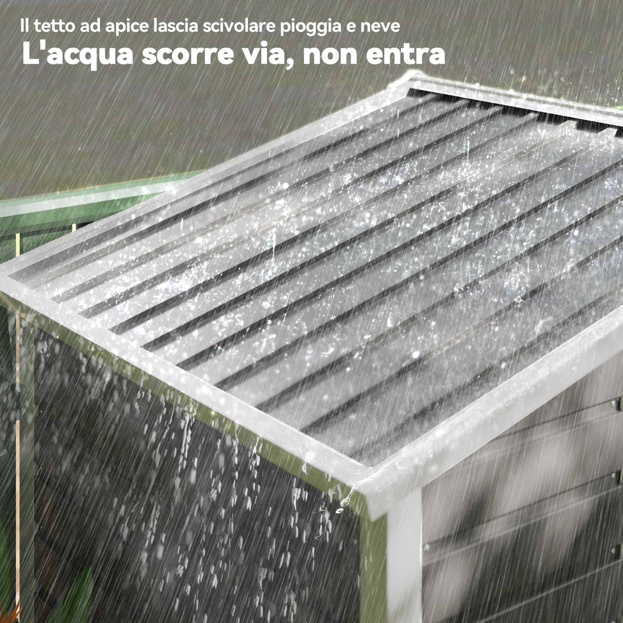 Immagine prodotto 8