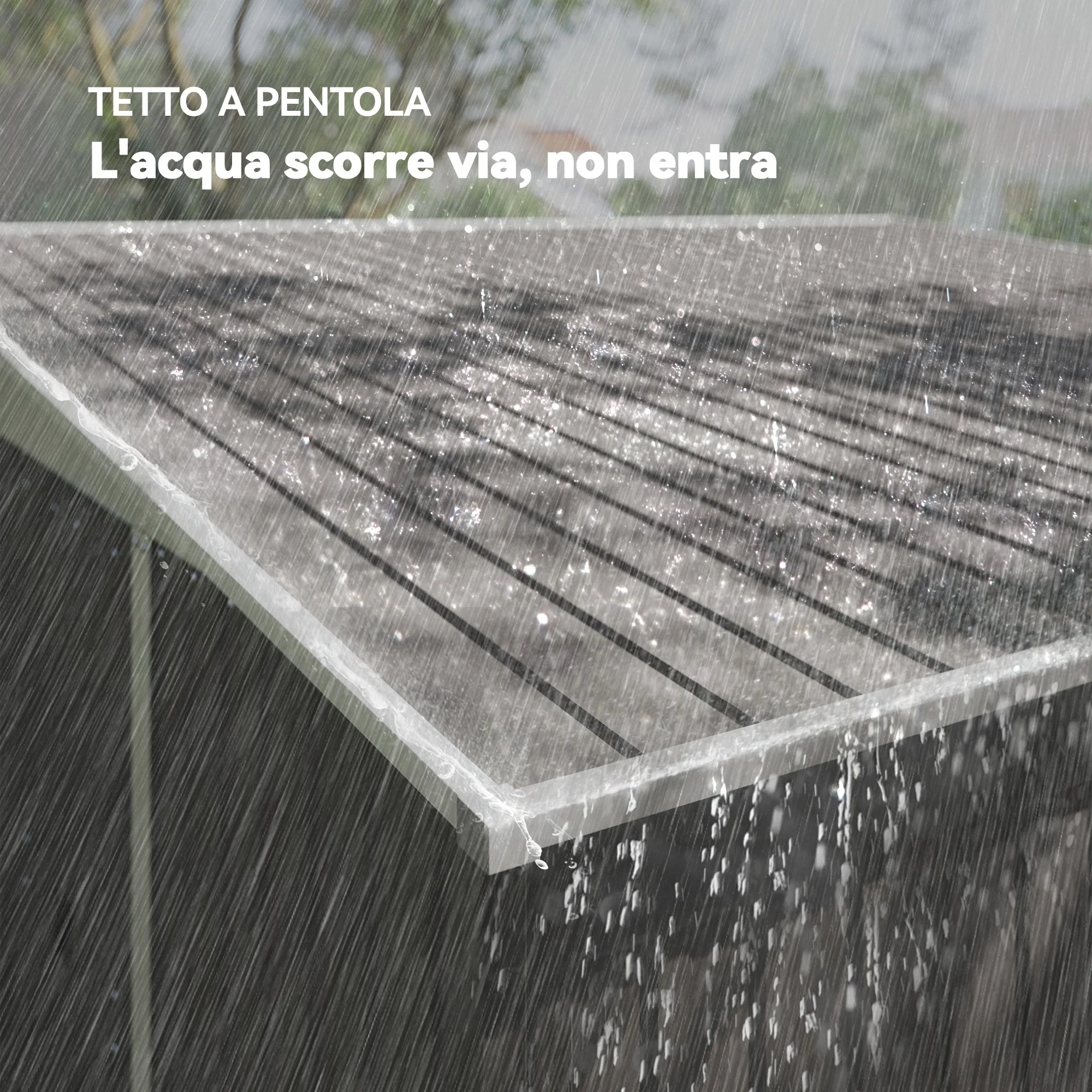 Immagine prodotto 8