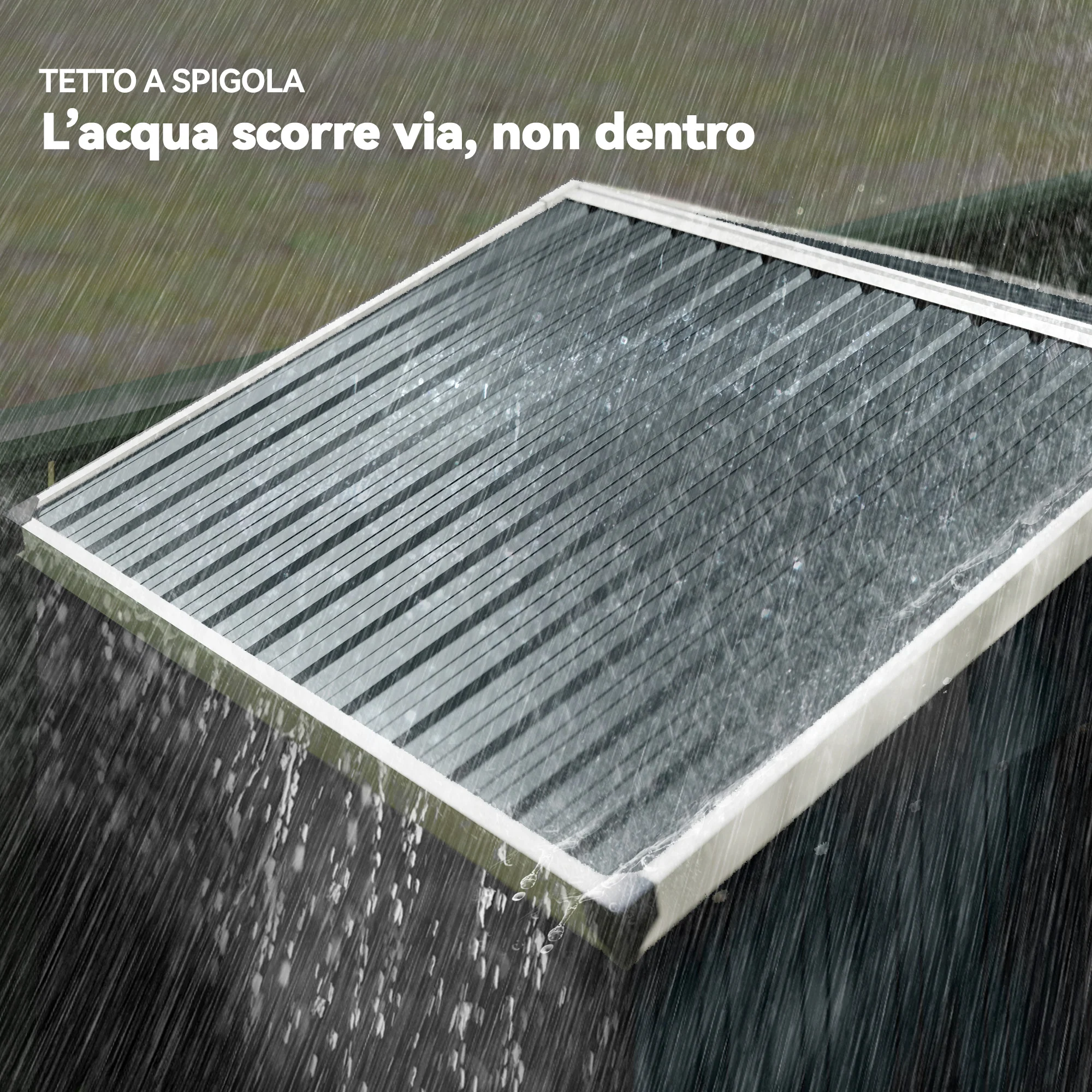 Immagine prodotto 6