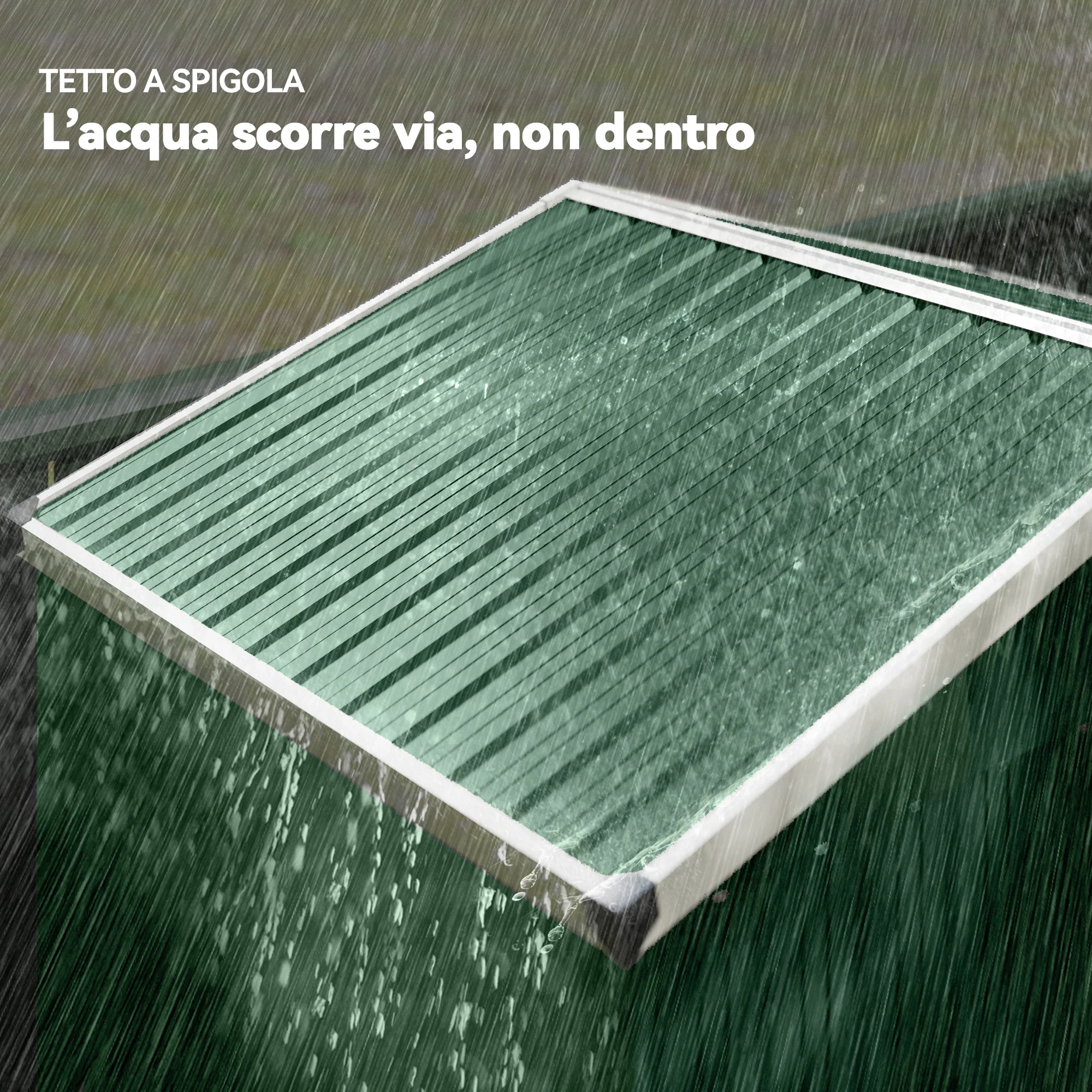 Immagine prodotto 6