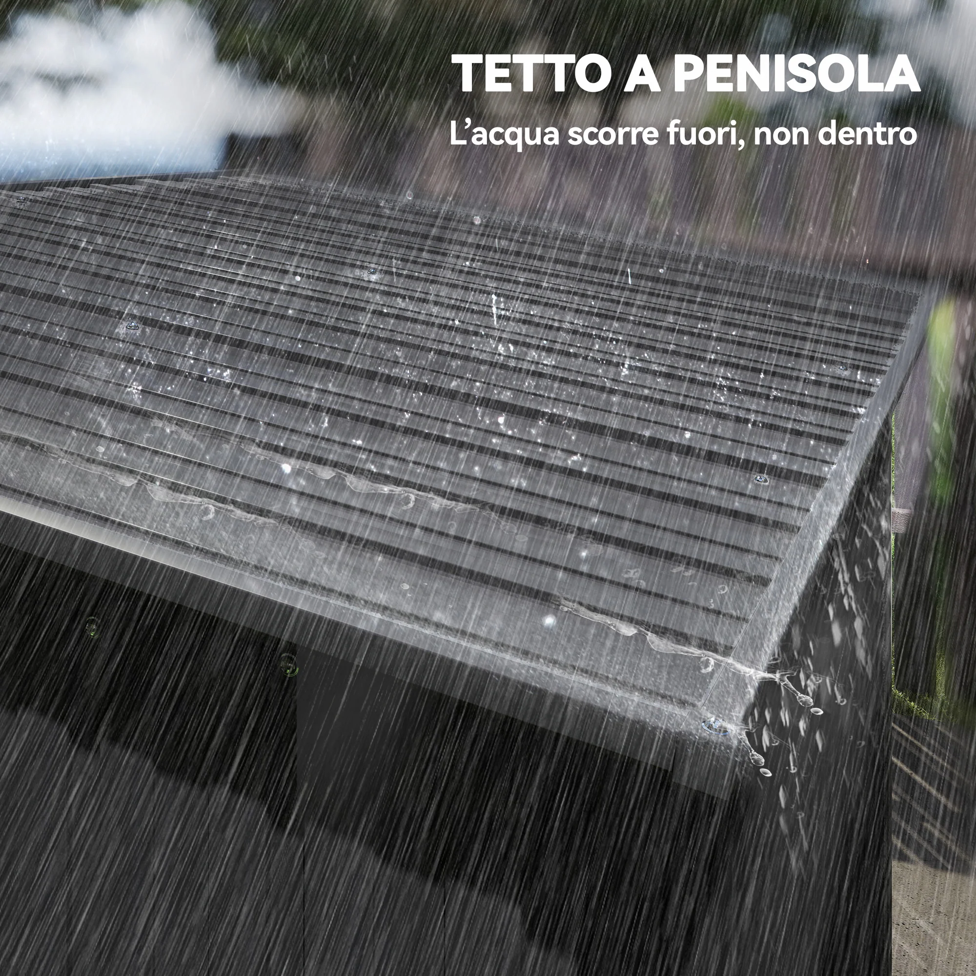 Immagine prodotto 7