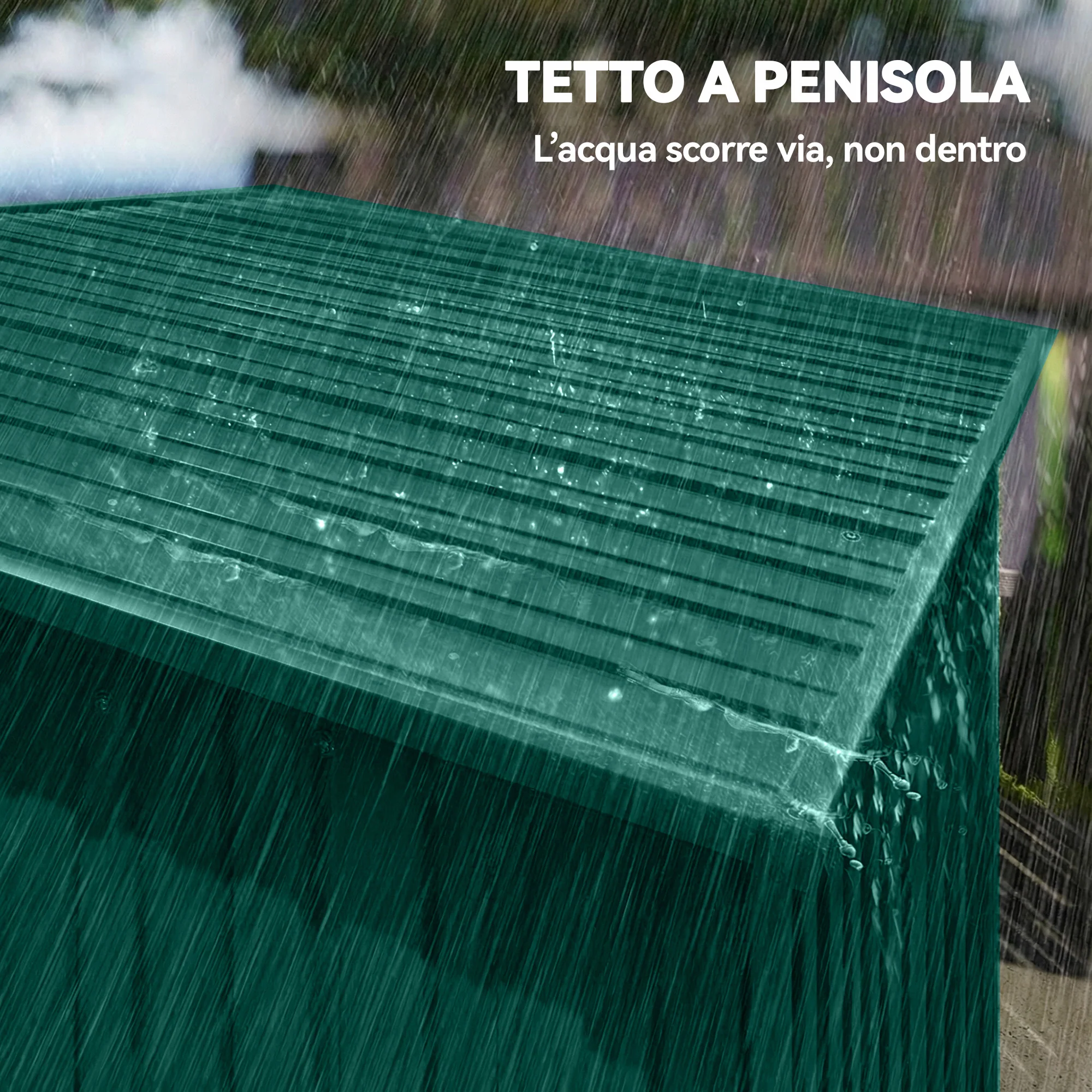 Immagine prodotto 7