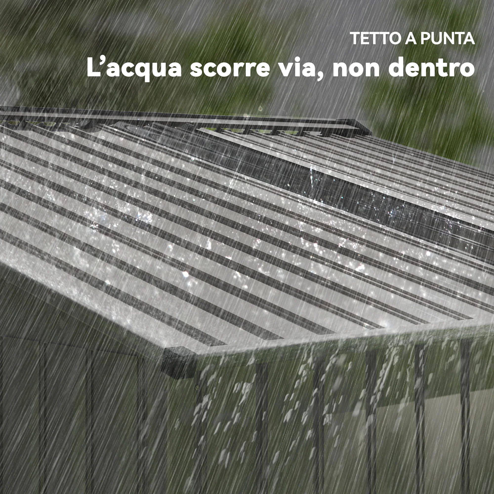 Immagine prodotto 8