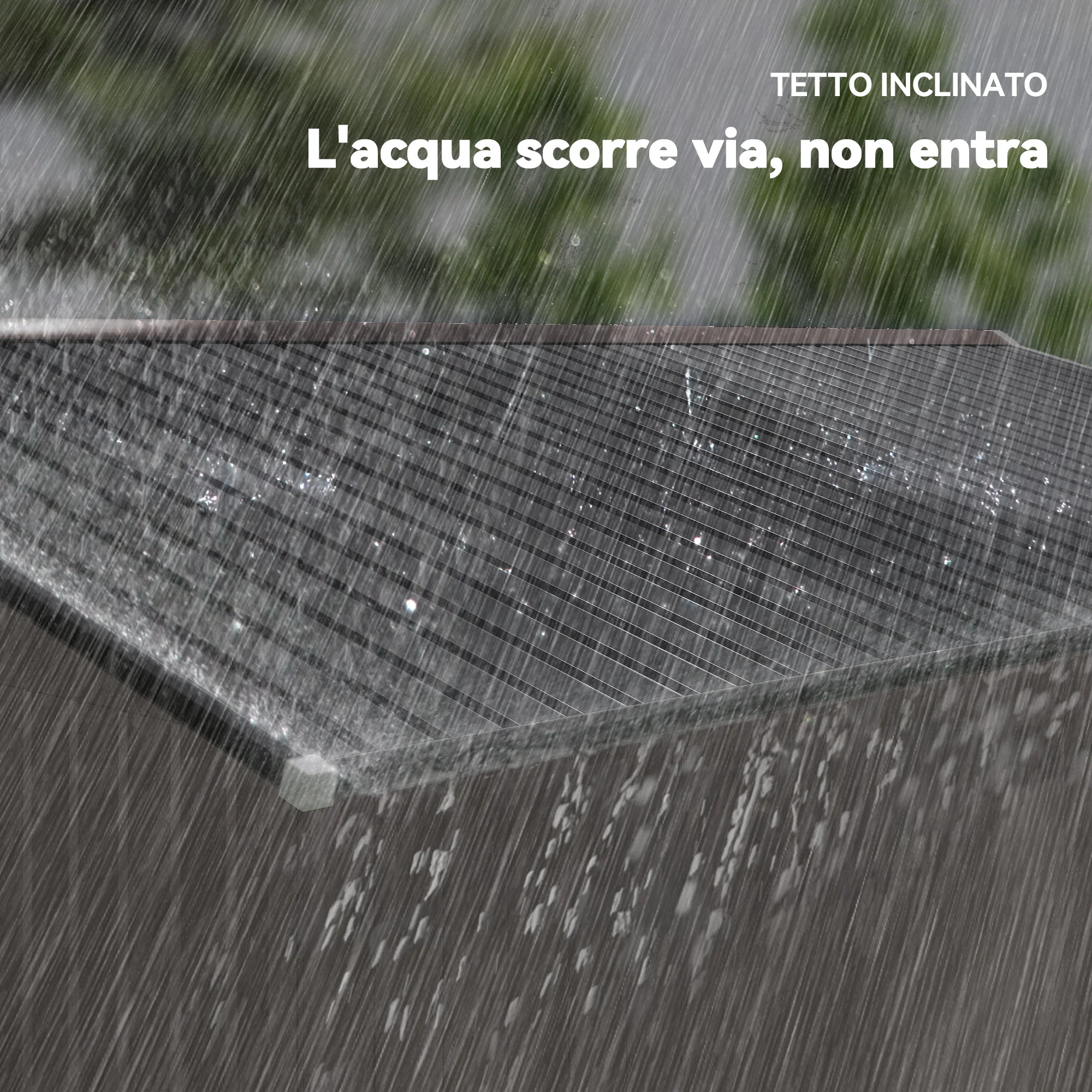 Immagine prodotto 7