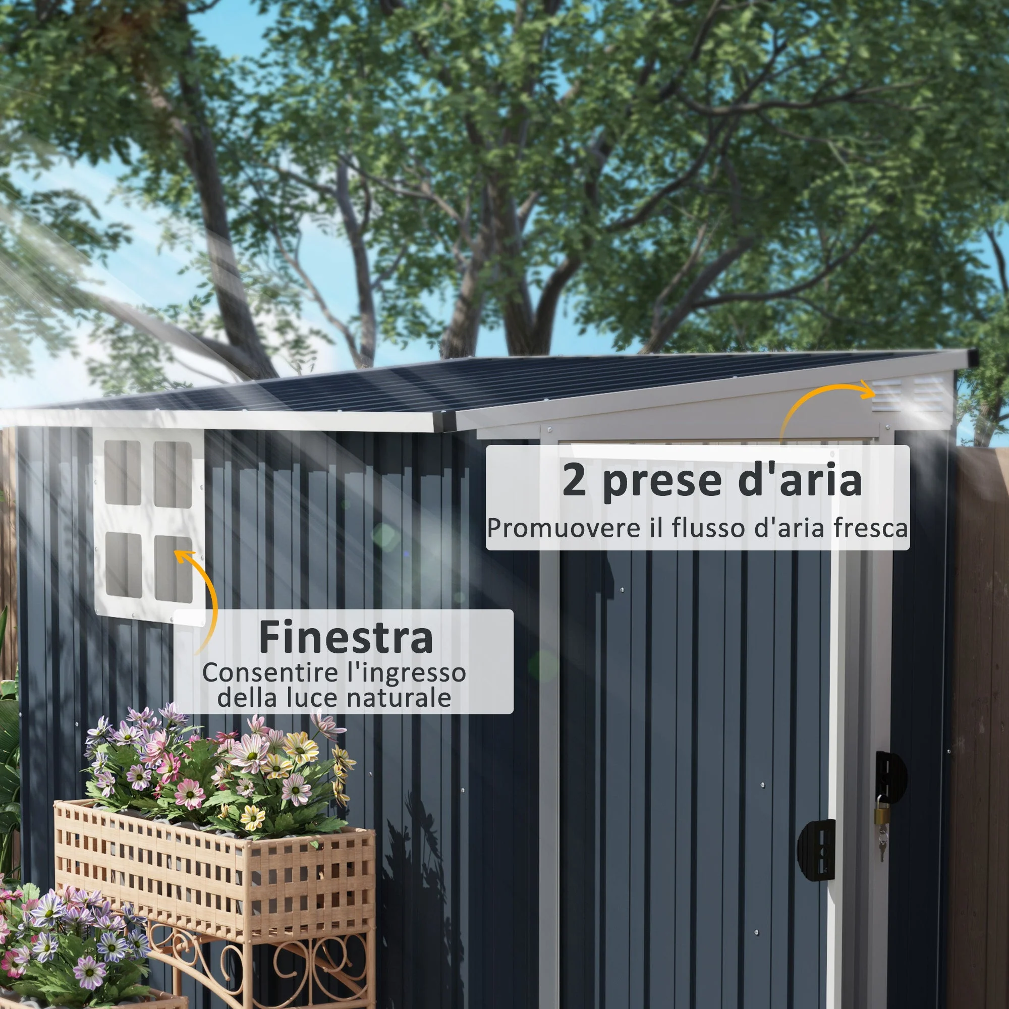 Immagine prodotto 4