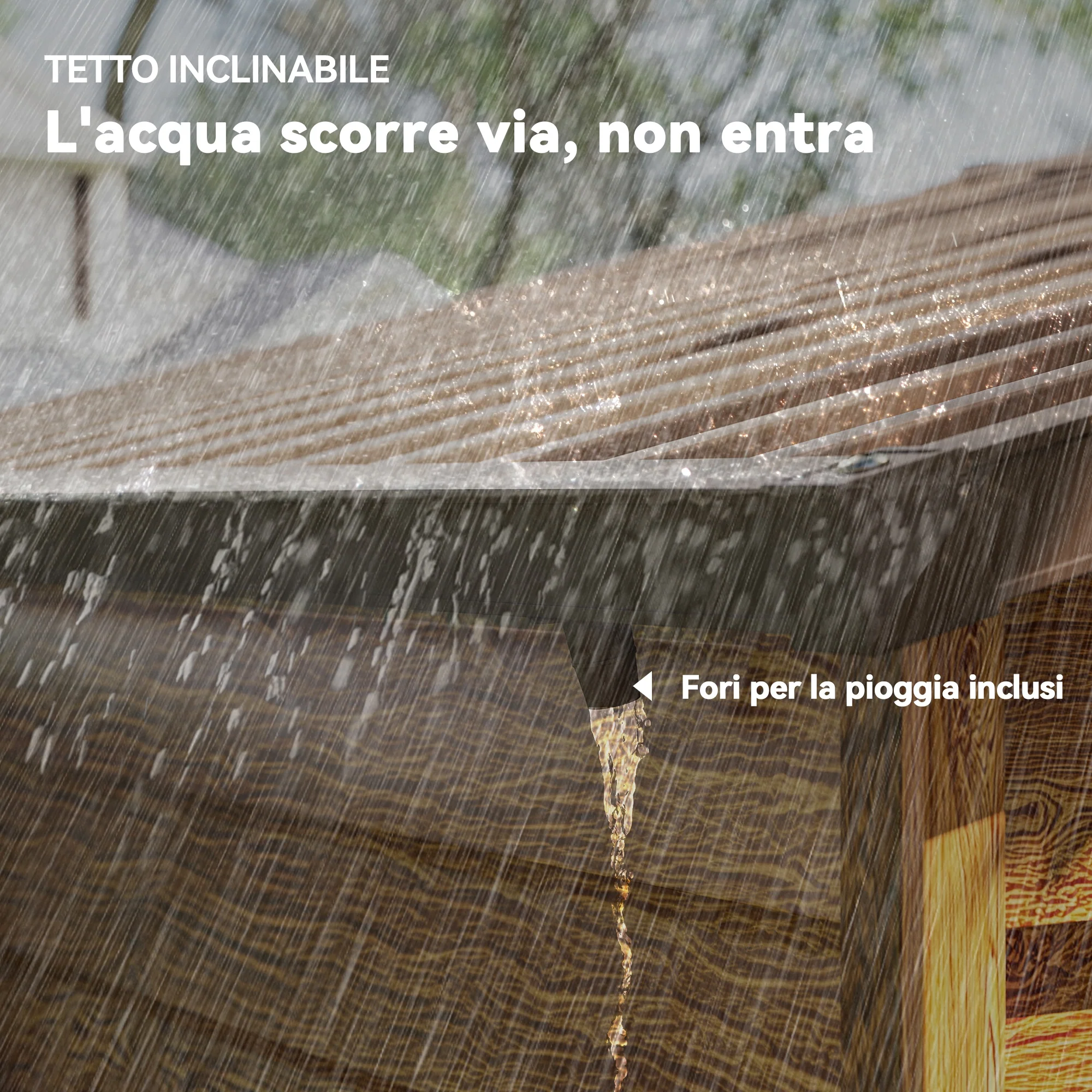Immagine prodotto 7