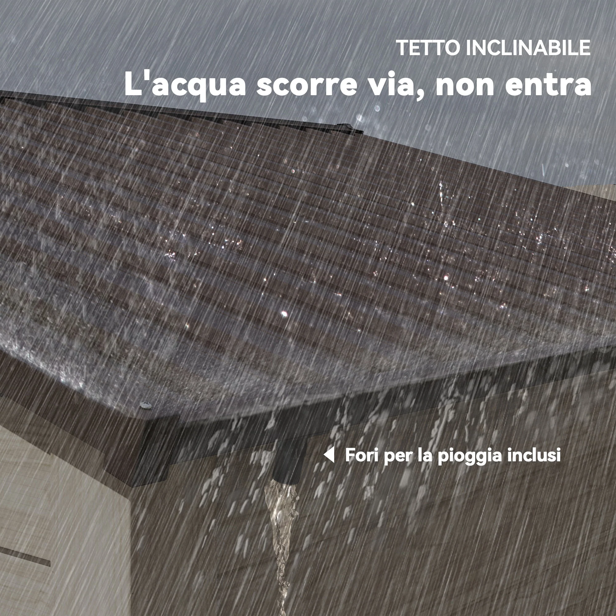 Immagine prodotto 7