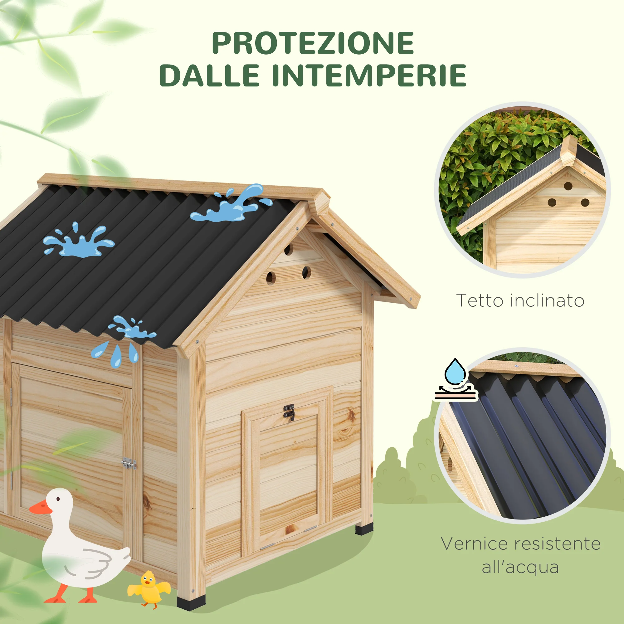 Immagine prodotto 6