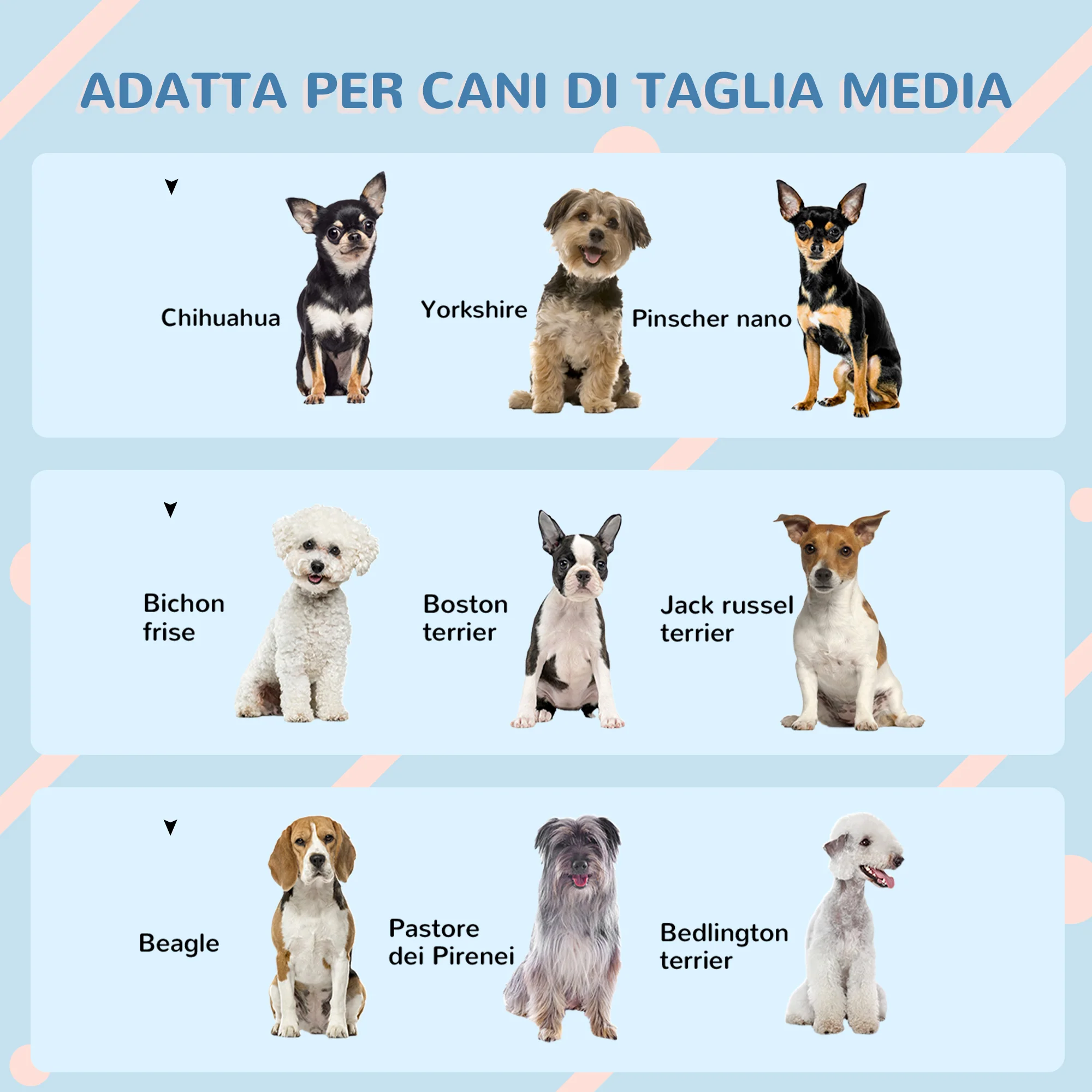 Immagine prodotto 7