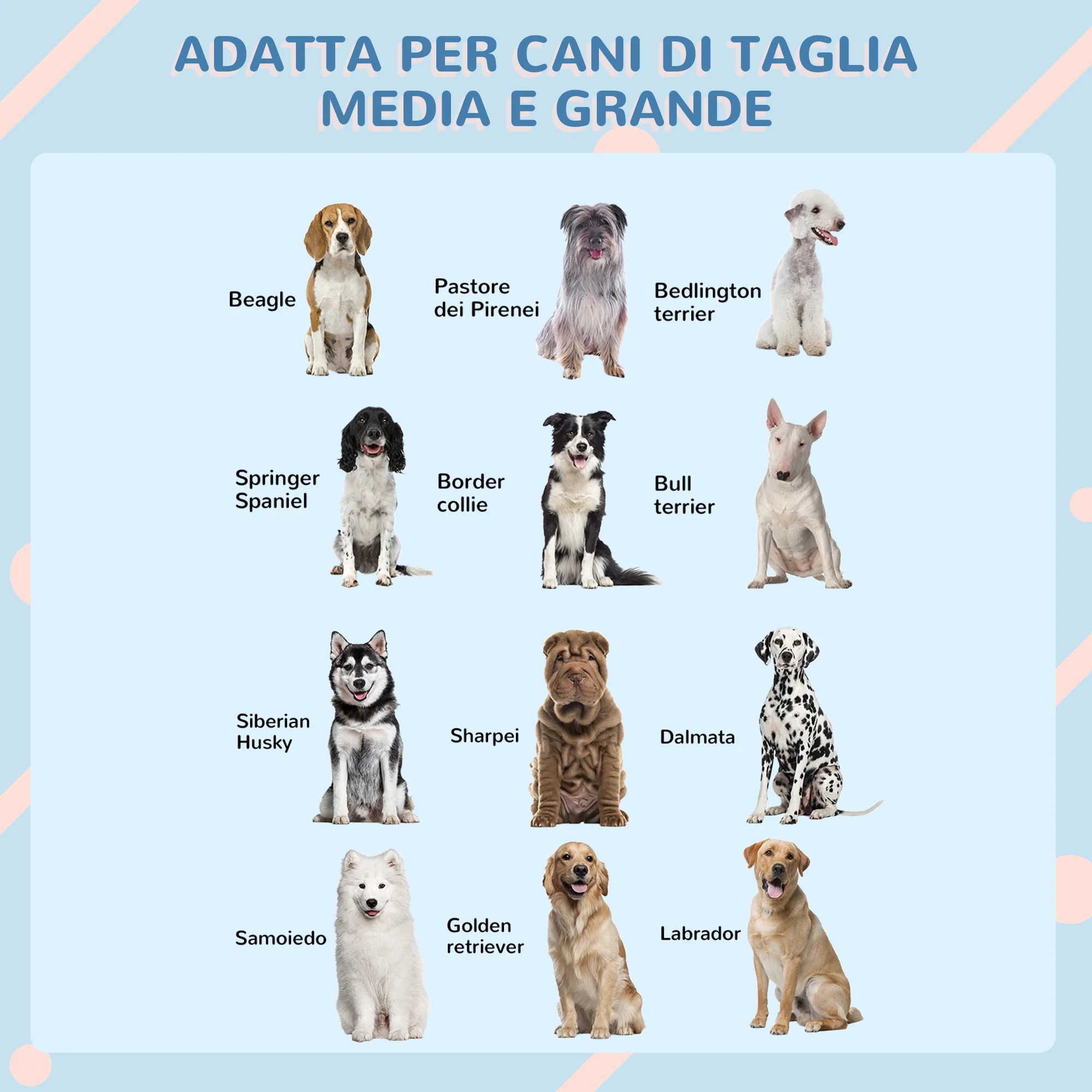 Immagine prodotto 7