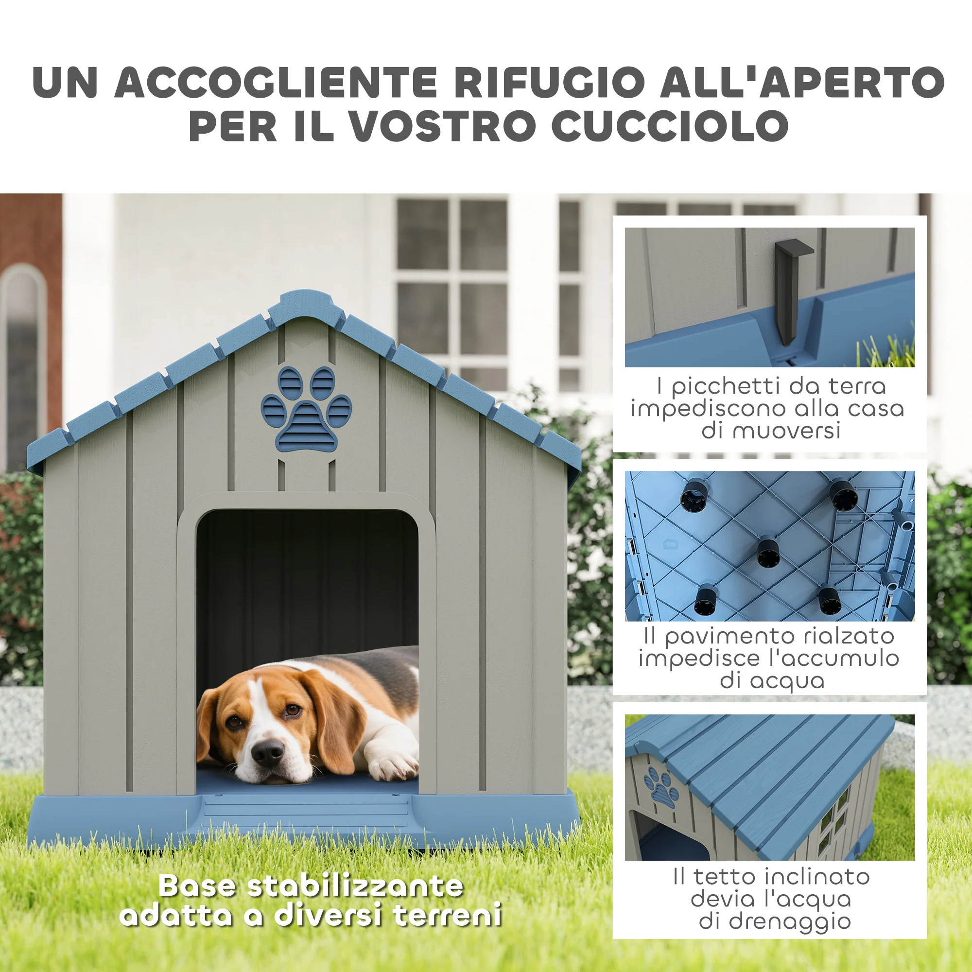 Immagine prodotto 4