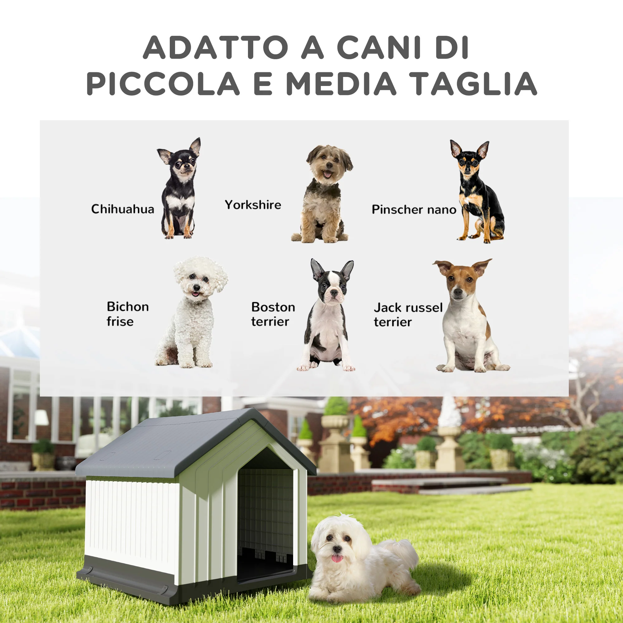 Immagine prodotto 4