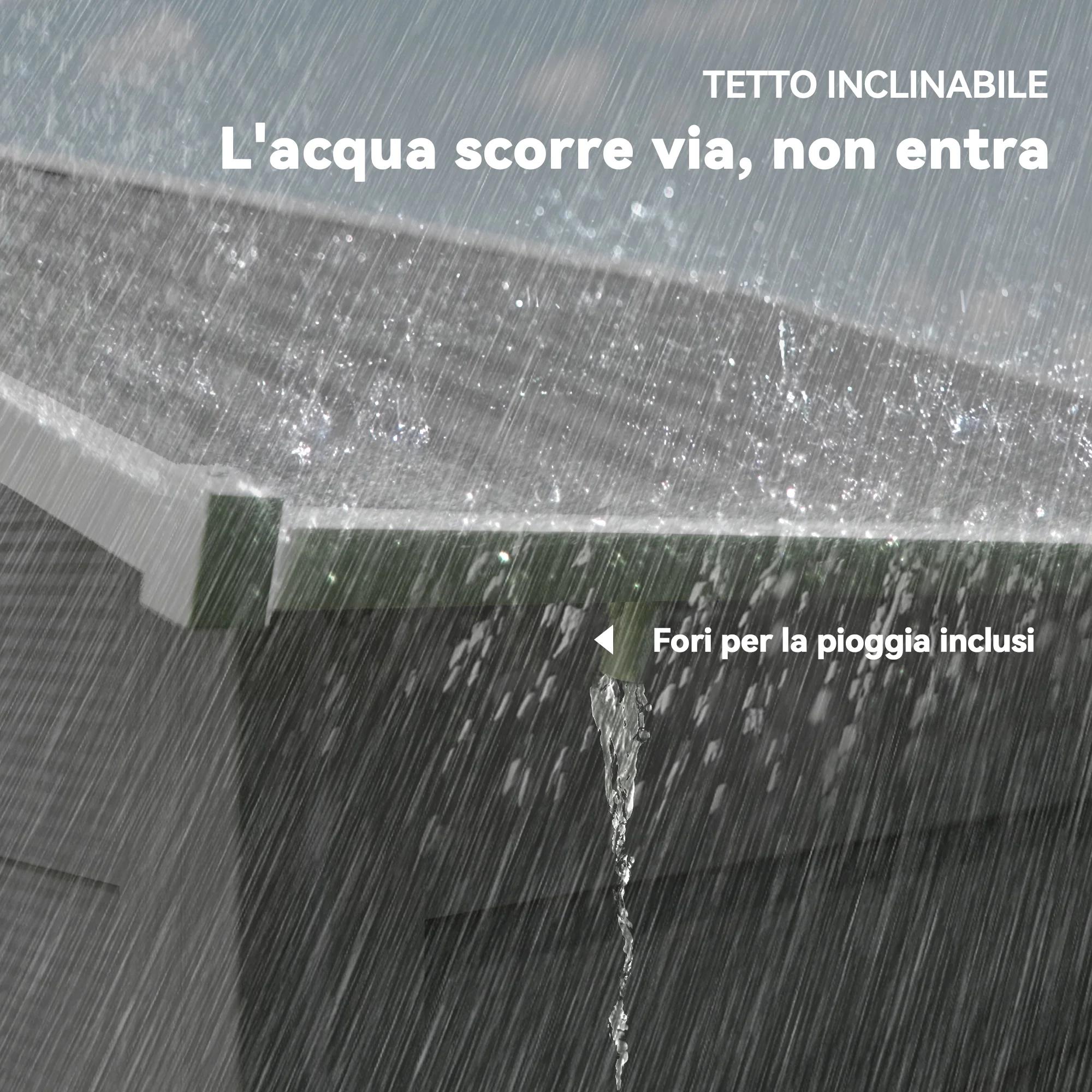 Immagine prodotto 7