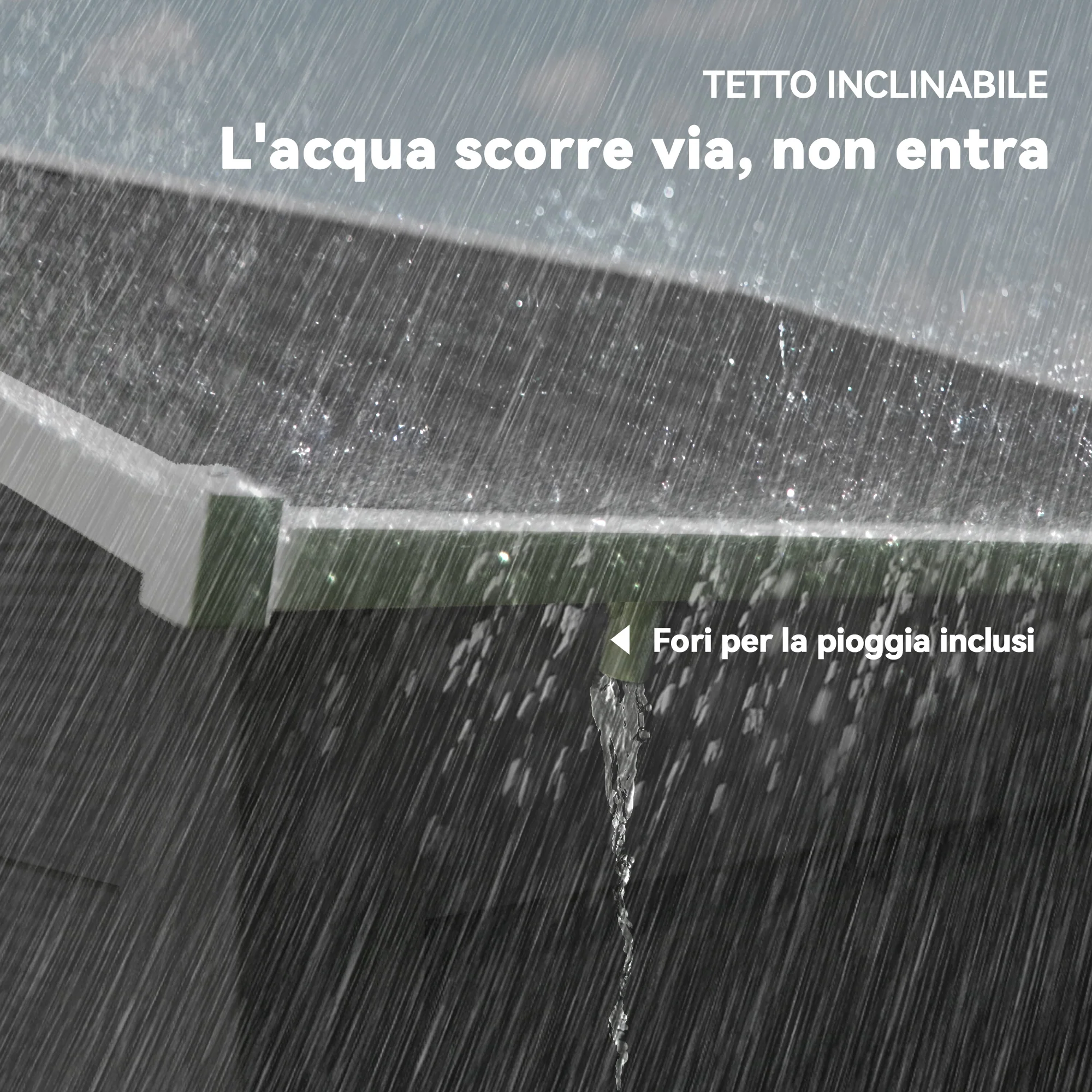 Immagine prodotto 7