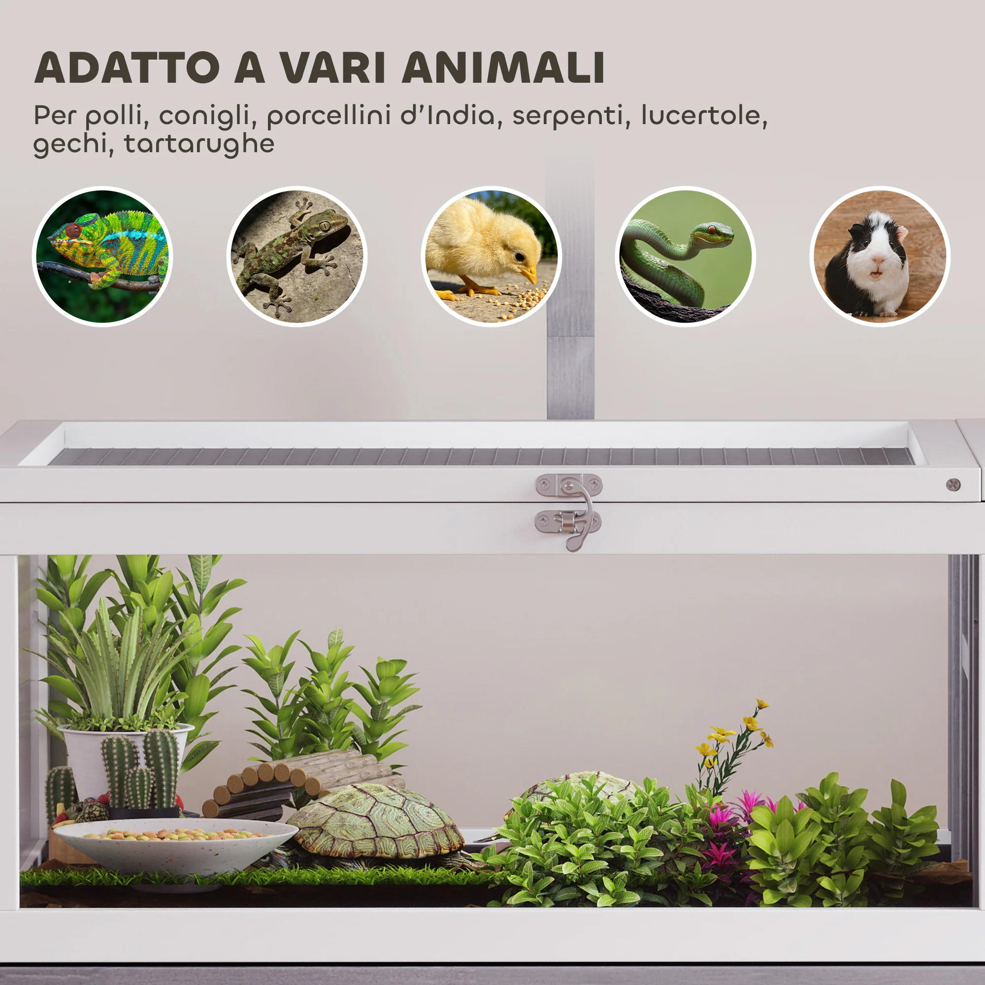 Immagine prodotto 8