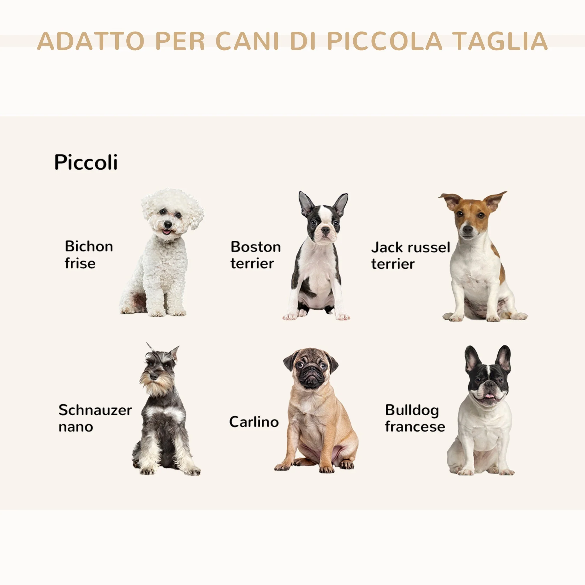 Immagine prodotto 8