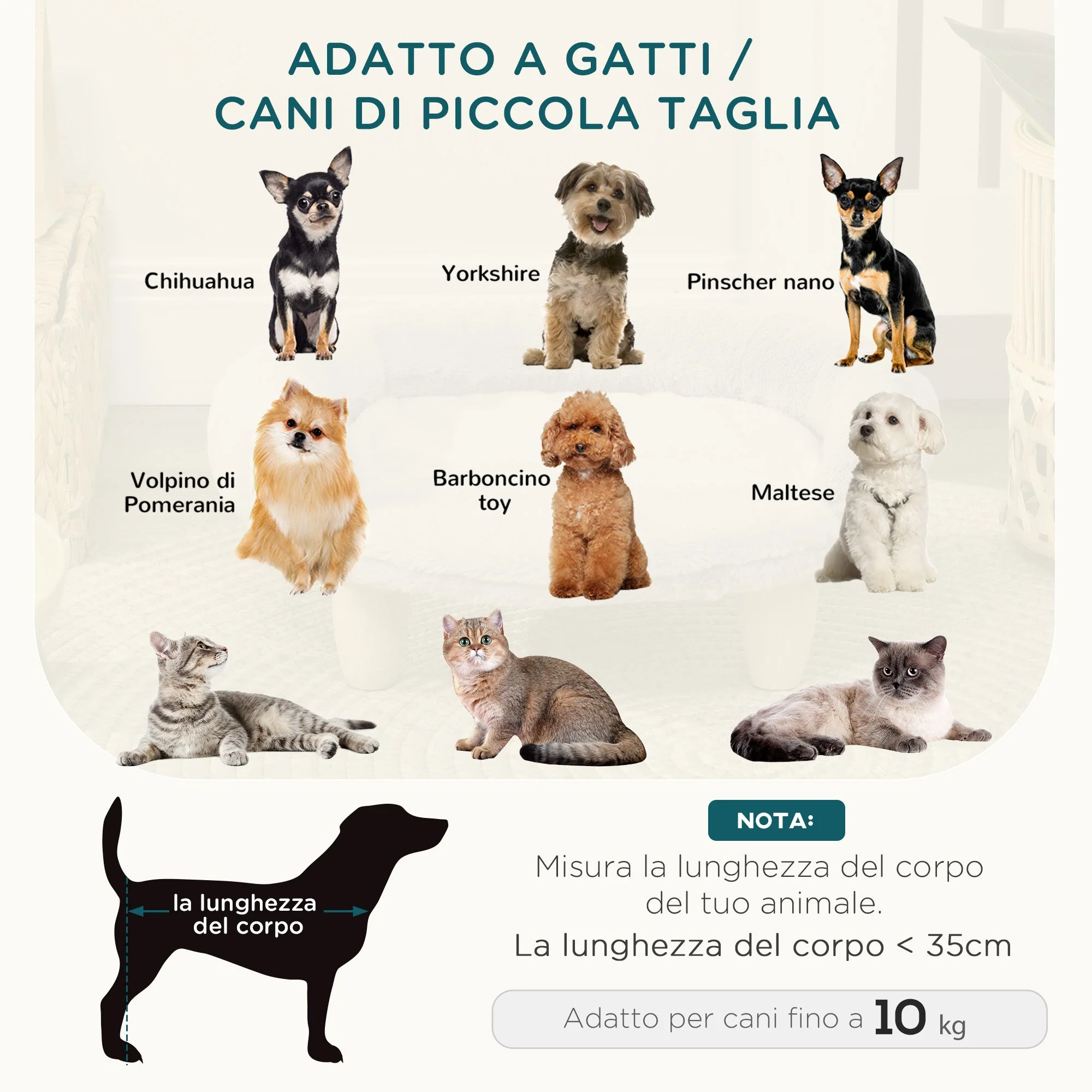 Immagine prodotto 4