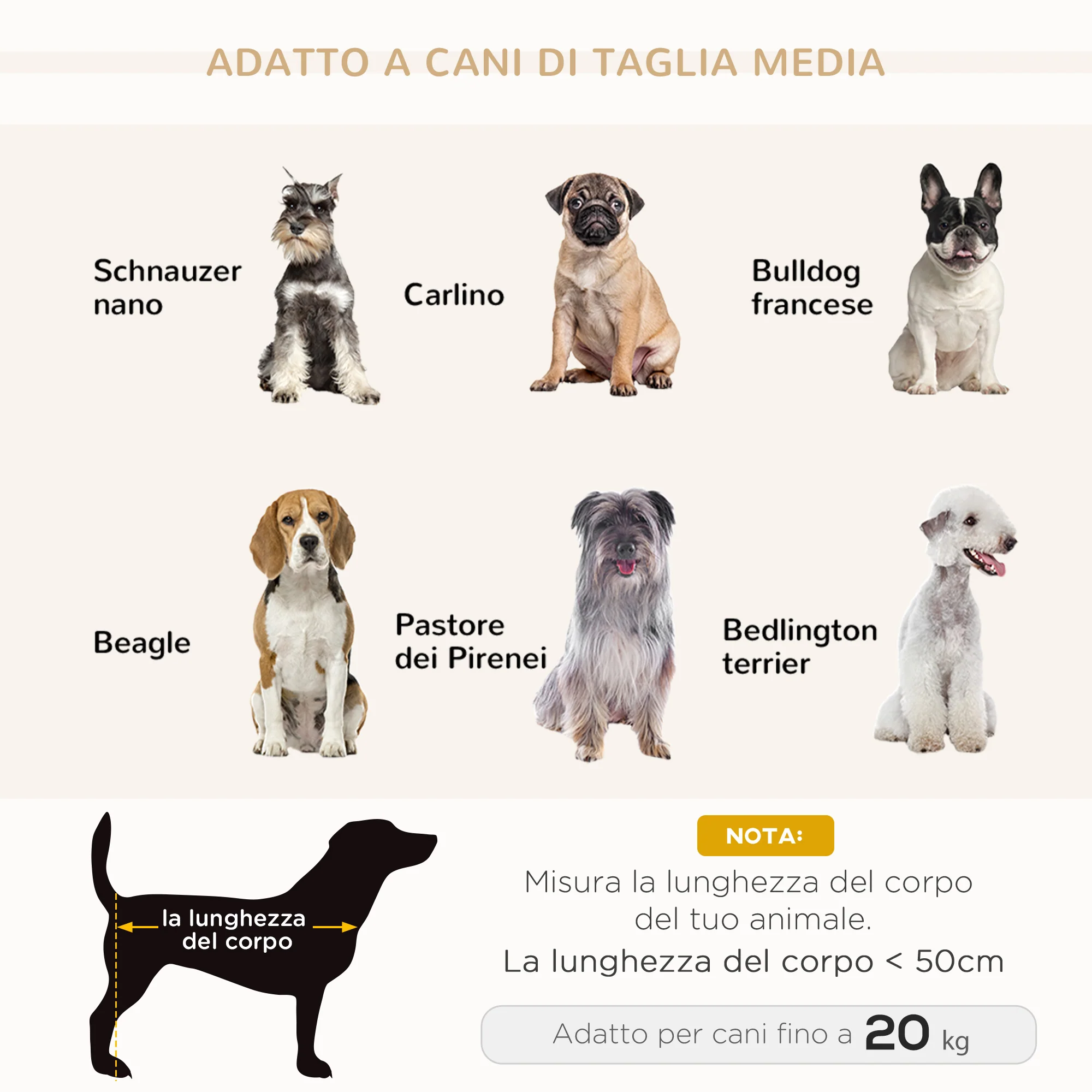 Immagine prodotto 7