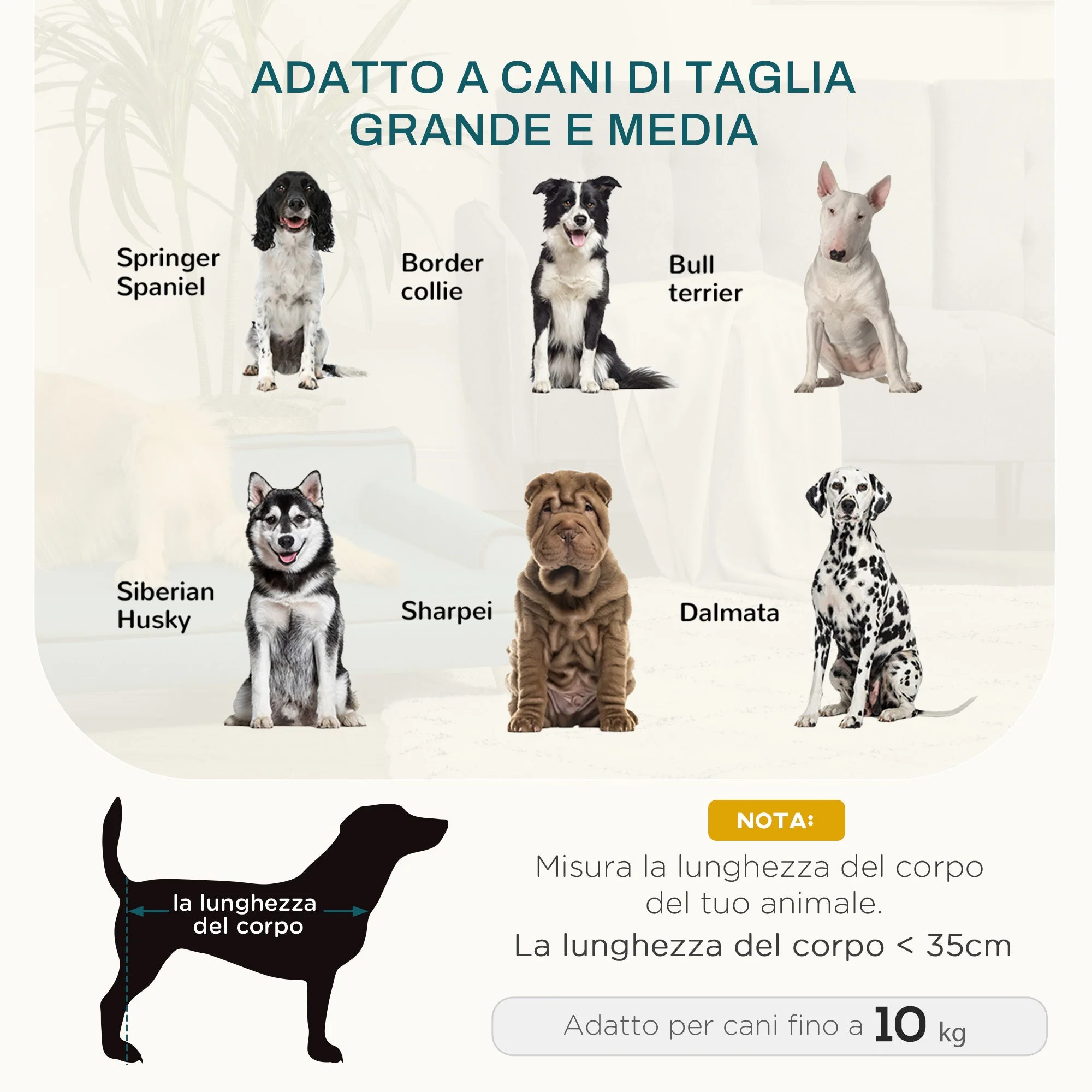 Immagine prodotto 7