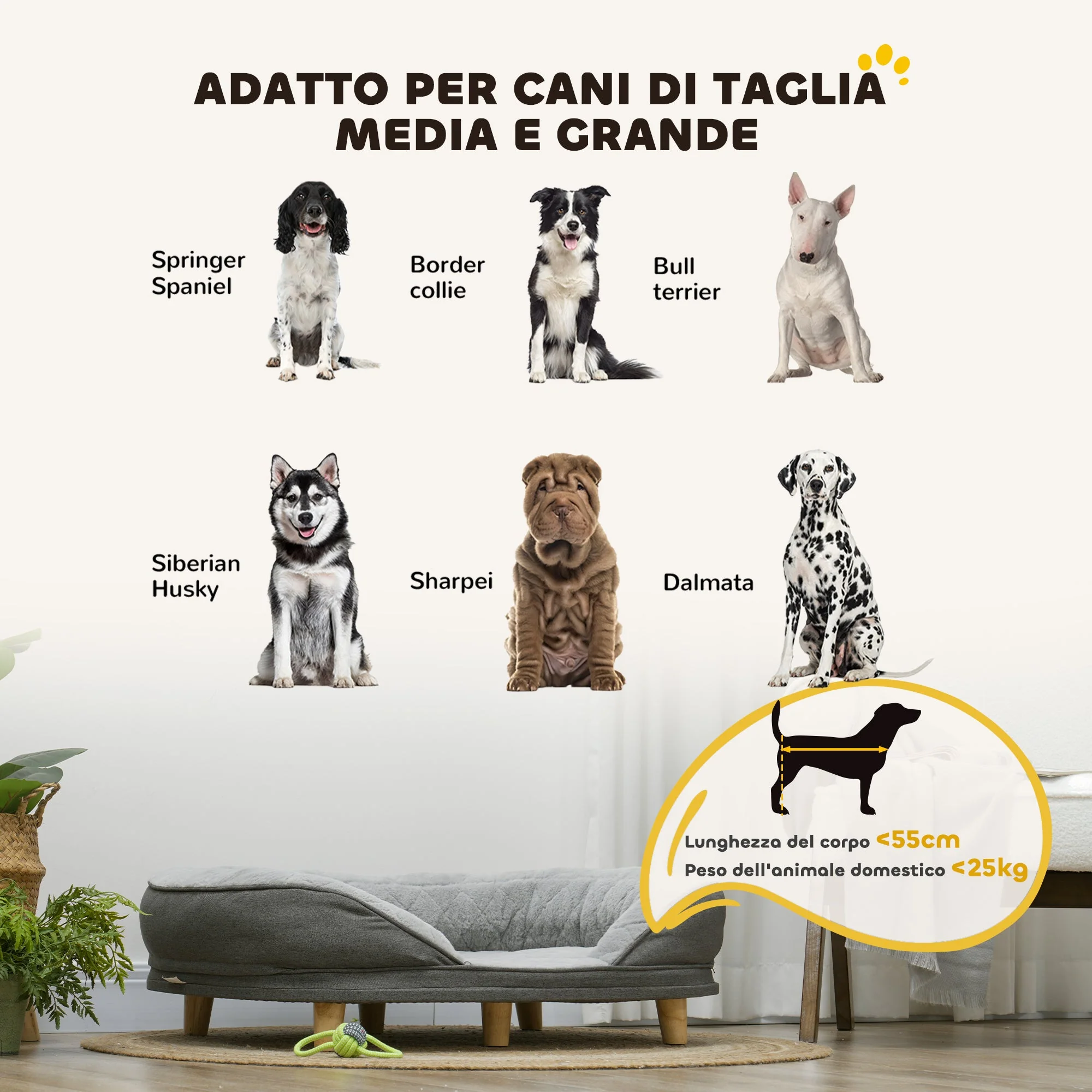 Immagine prodotto 4