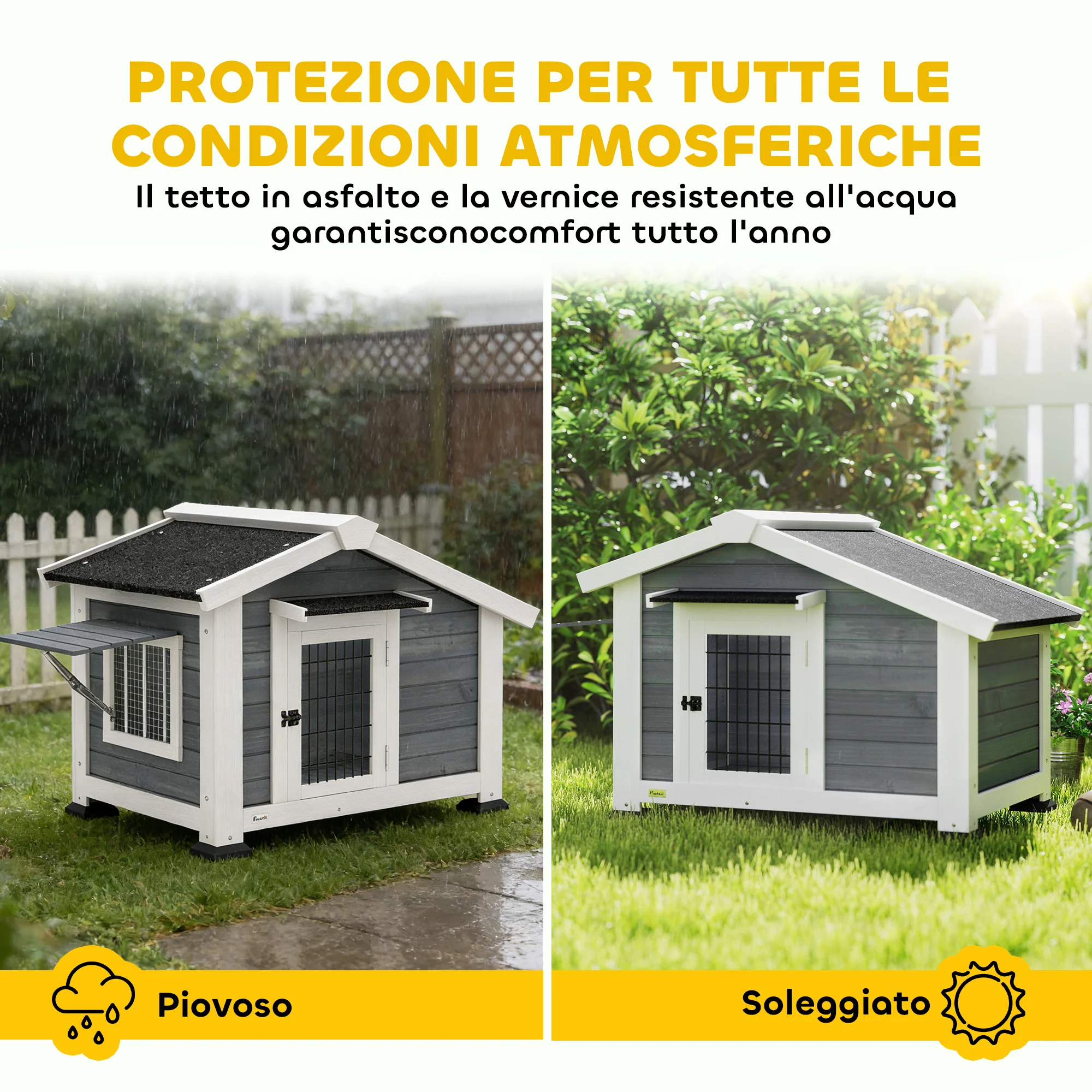 Immagine prodotto 5