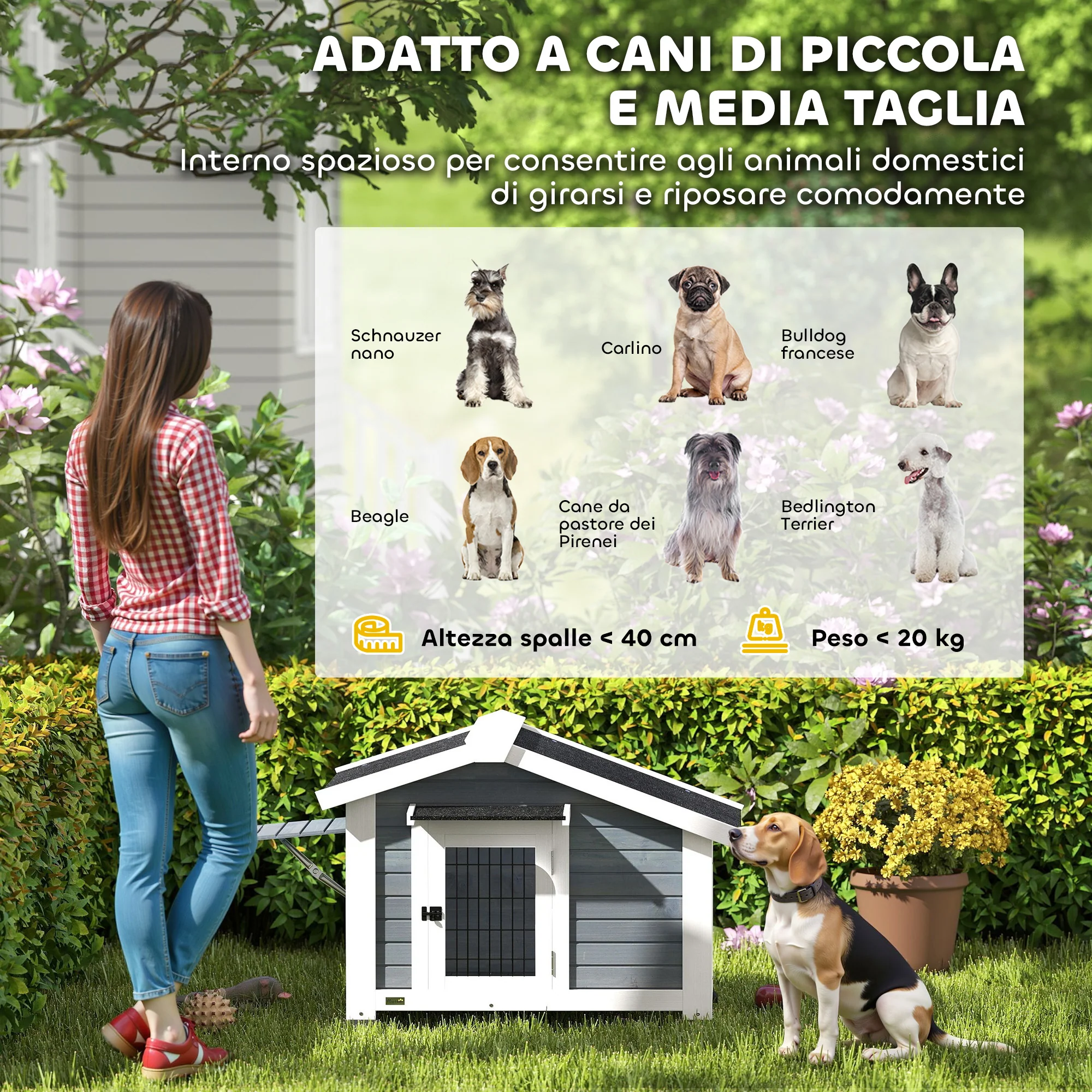 Immagine prodotto 7