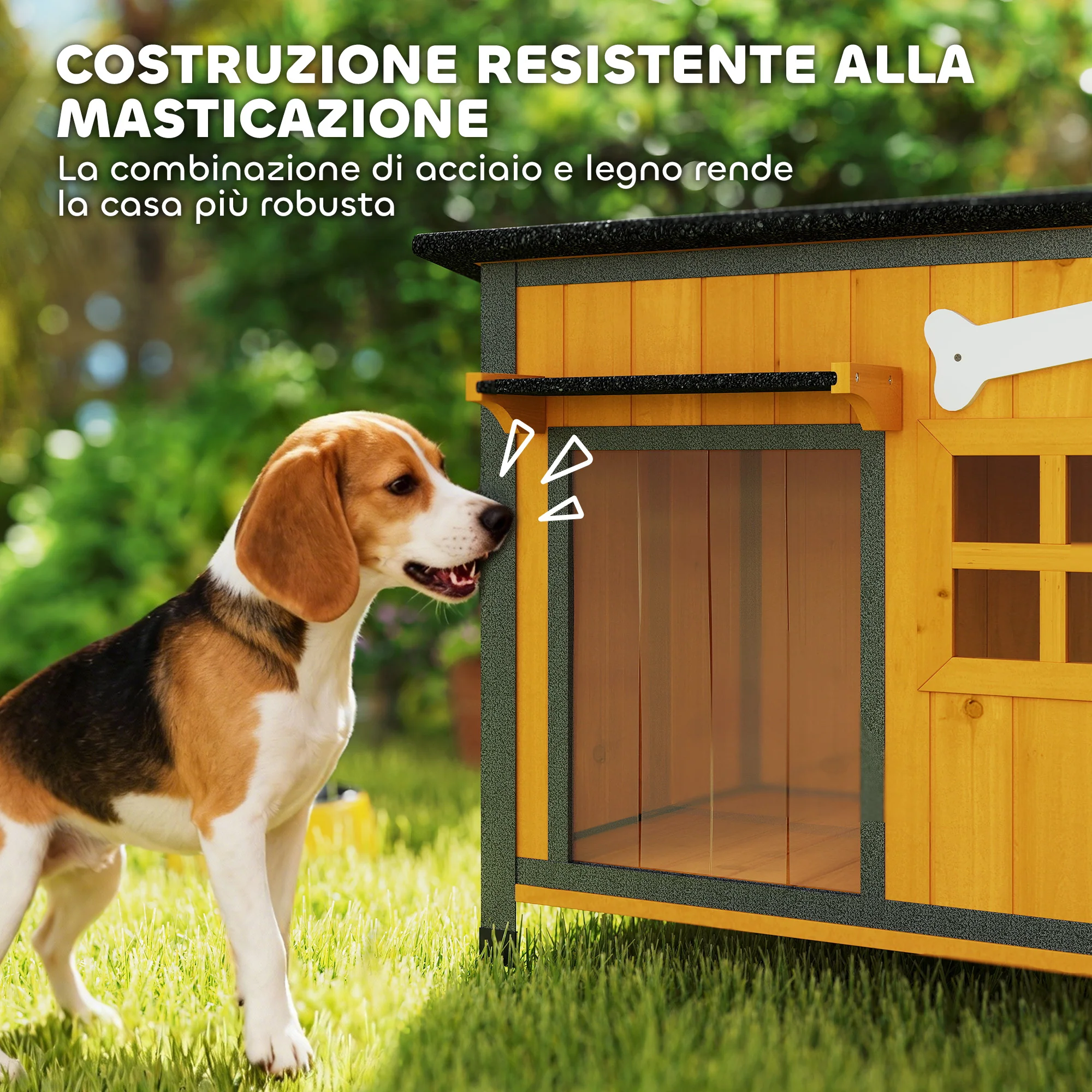 Immagine prodotto 4