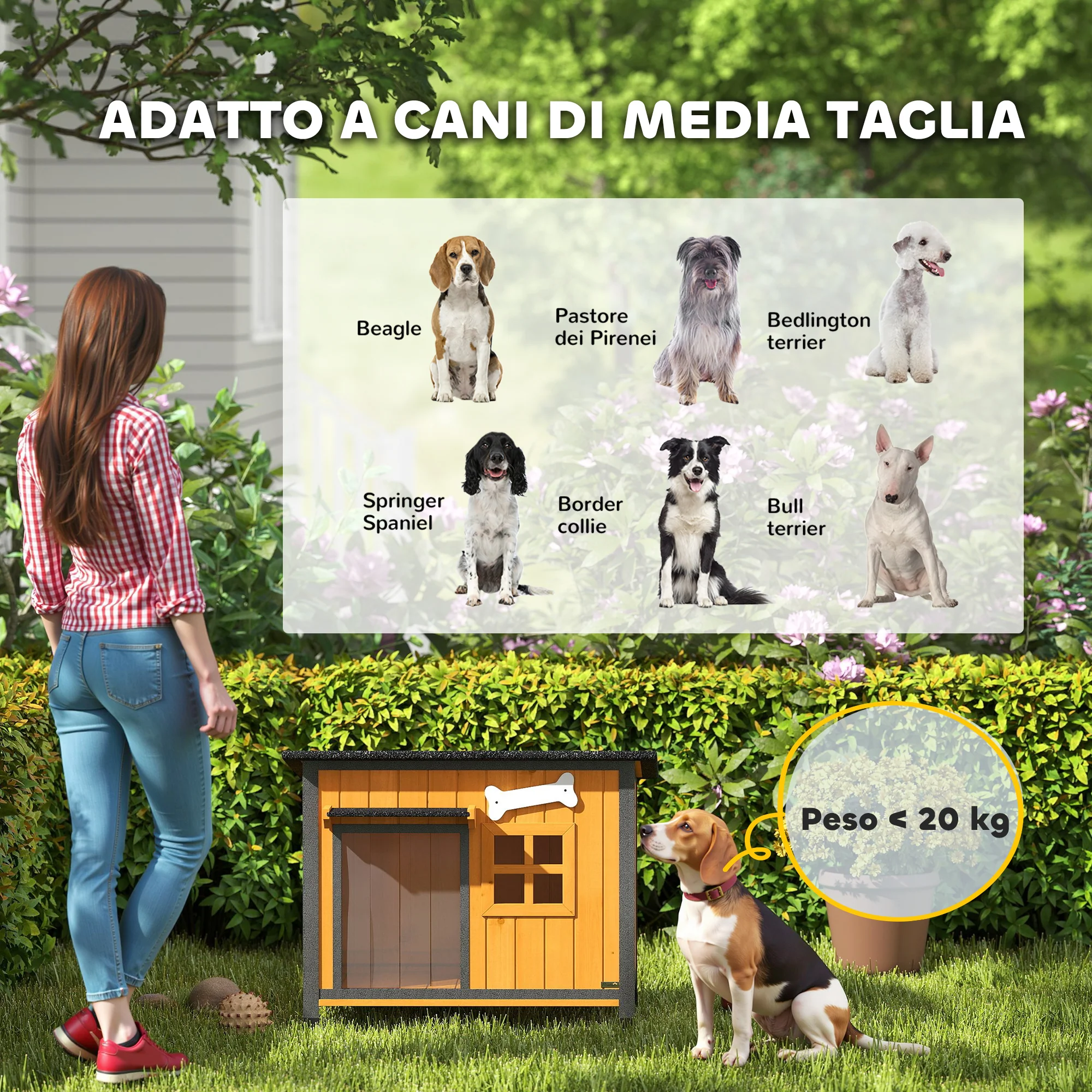 Immagine prodotto 9