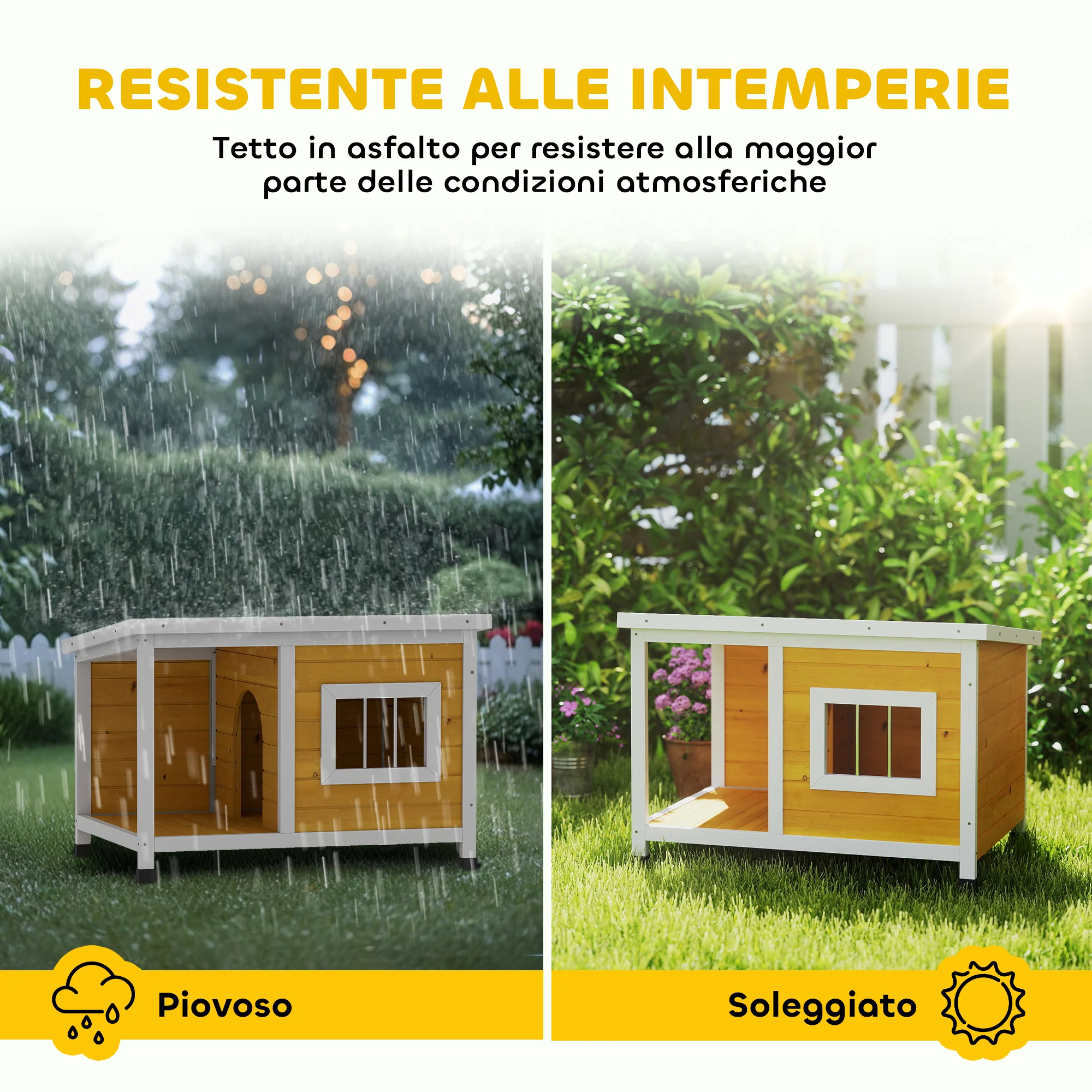 Immagine prodotto 5