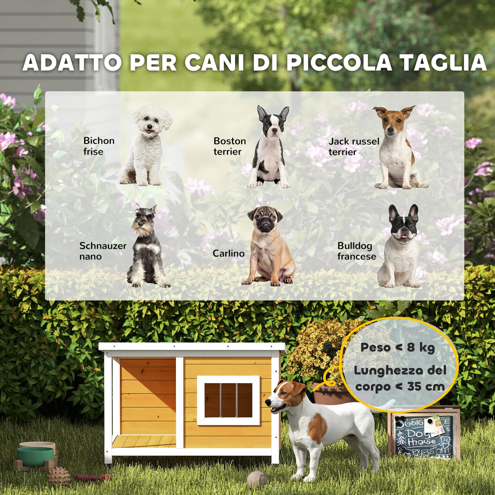Immagine prodotto 8