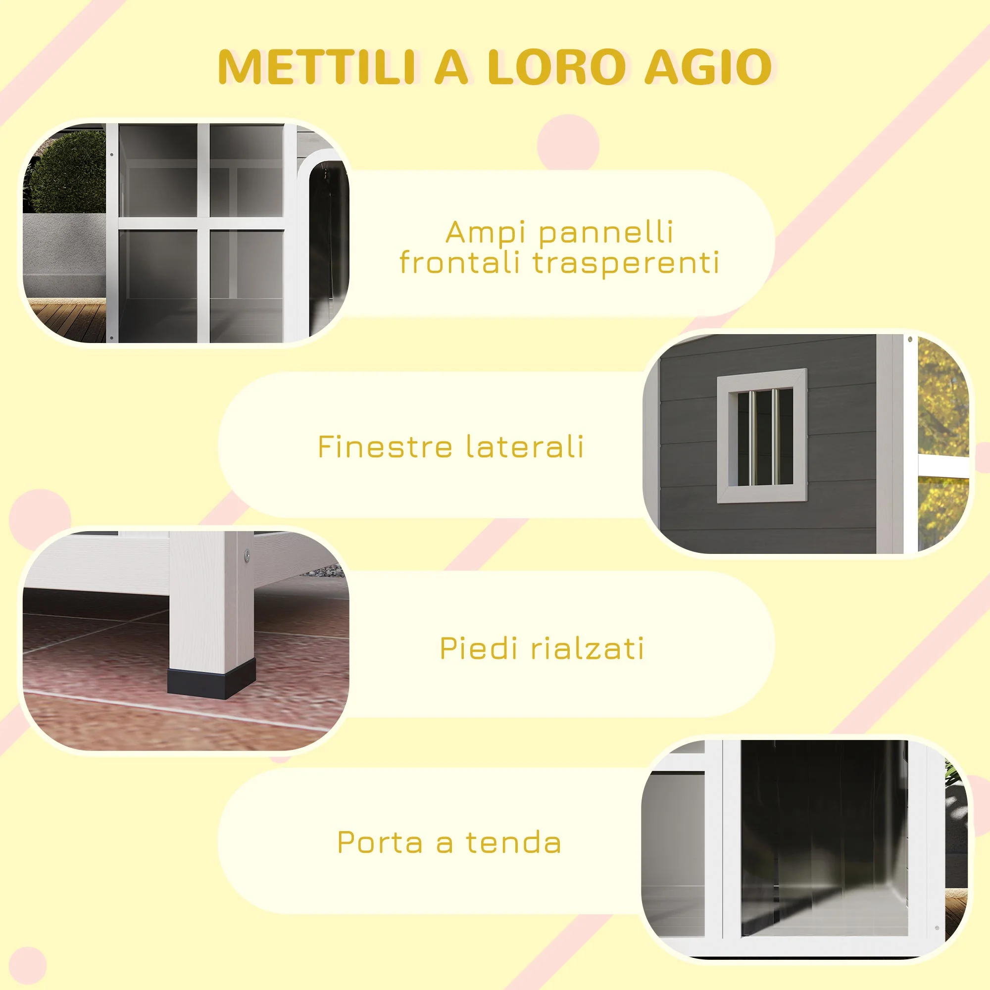 Immagine prodotto 6