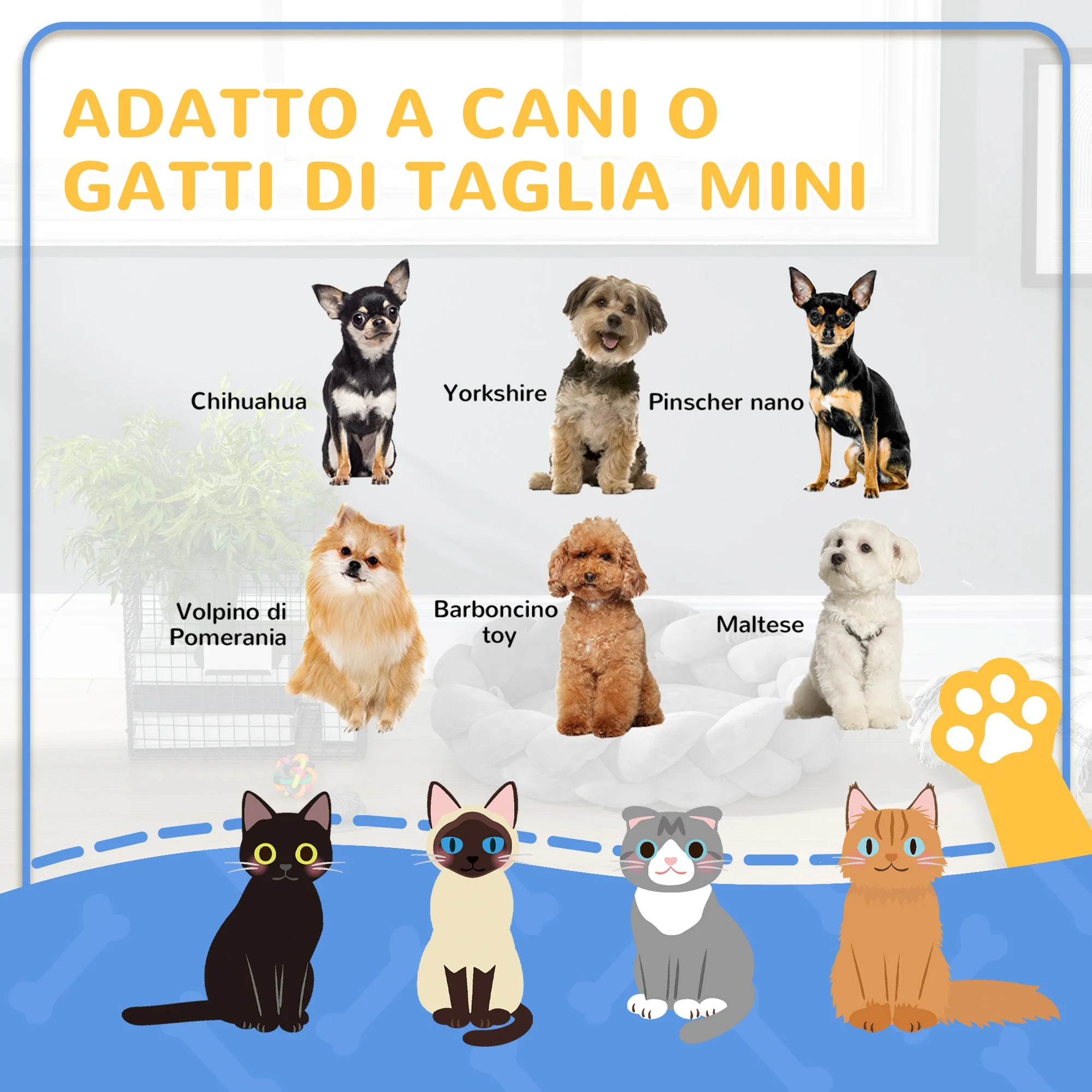 Immagine prodotto 4