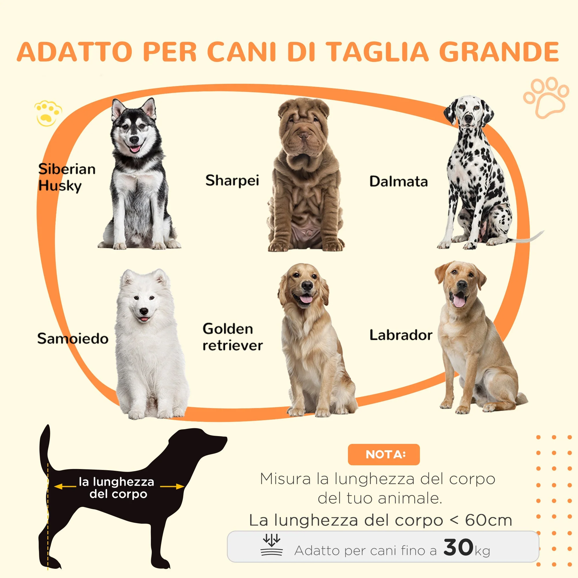 Immagine prodotto 4