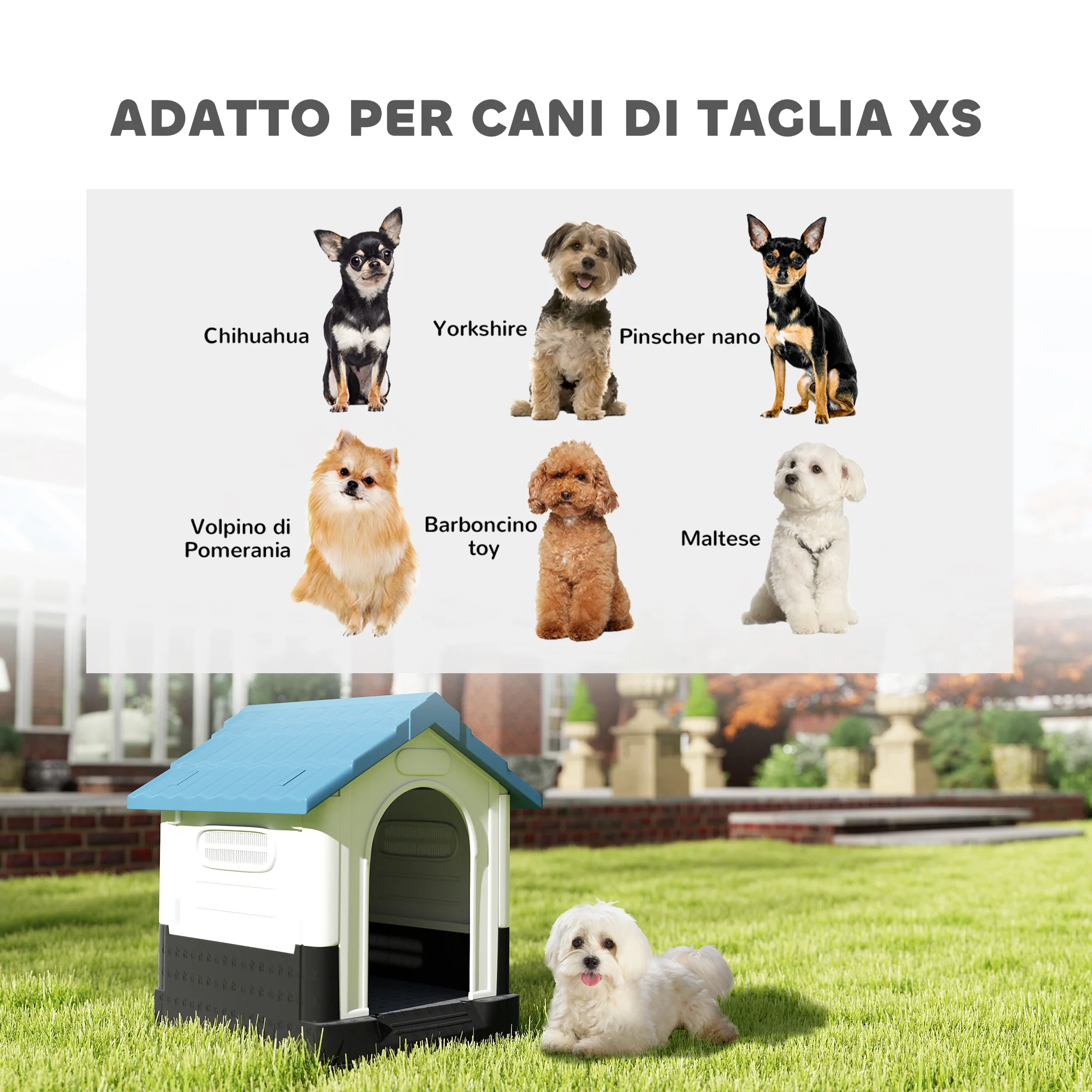Immagine prodotto 4