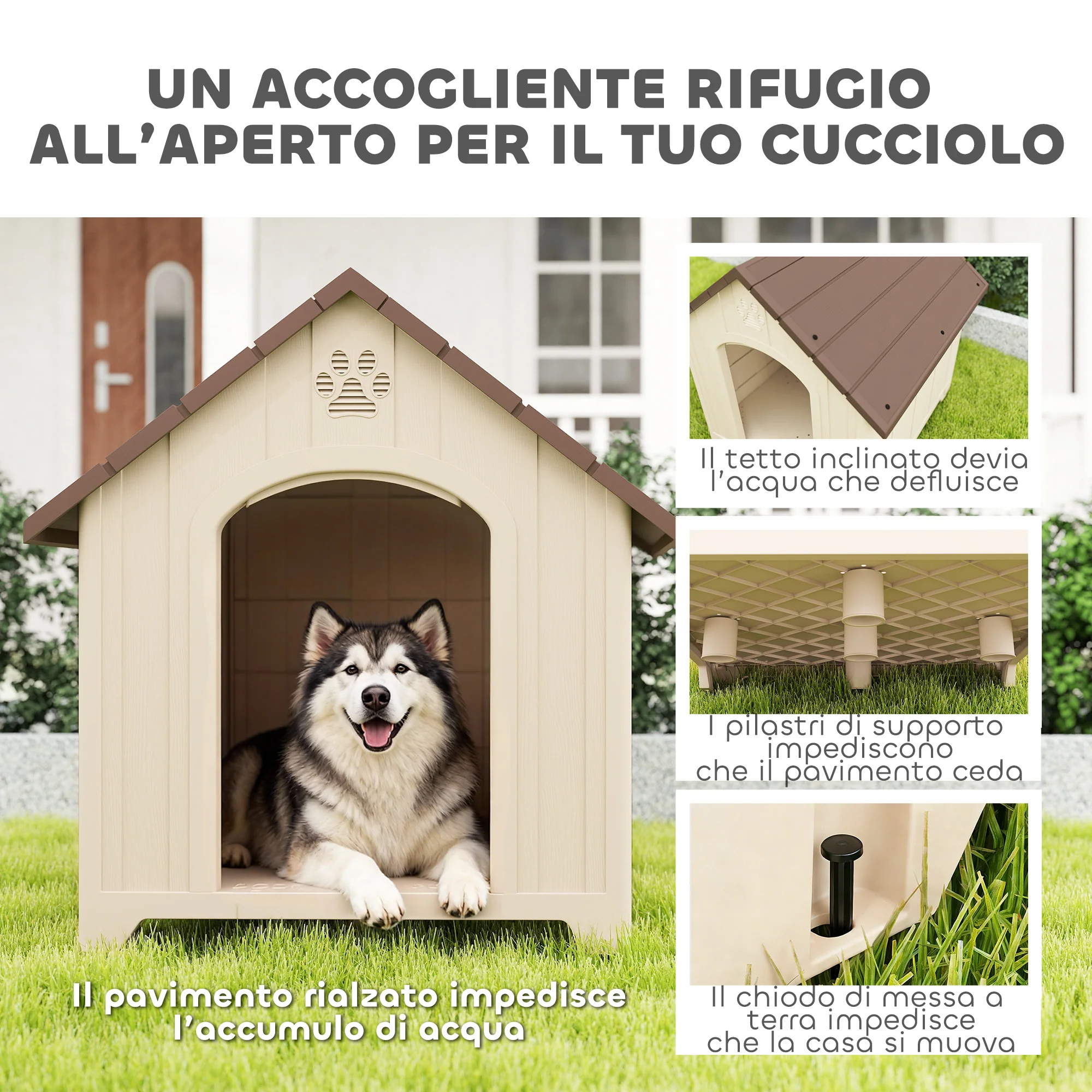 Immagine prodotto 4