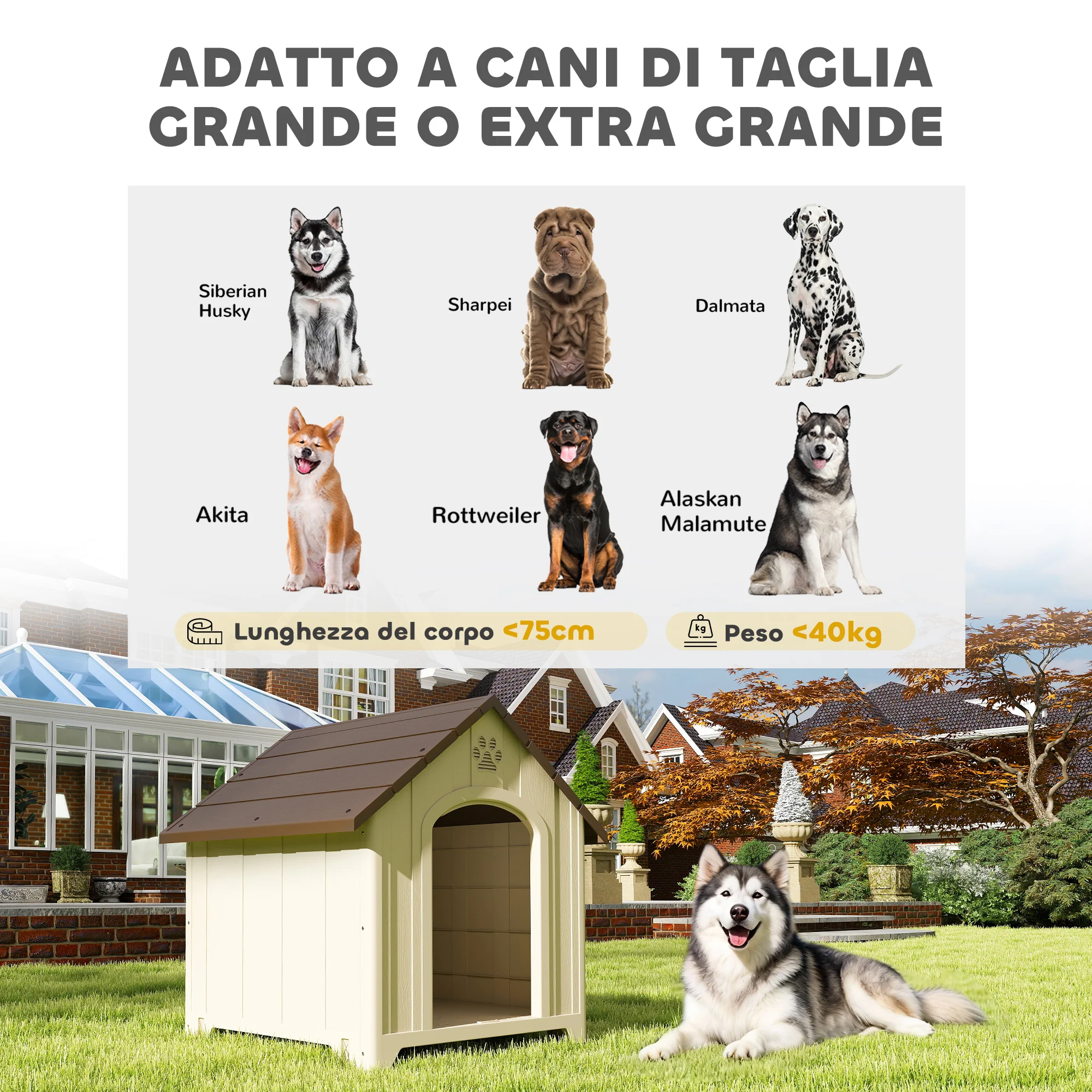 Immagine prodotto 5