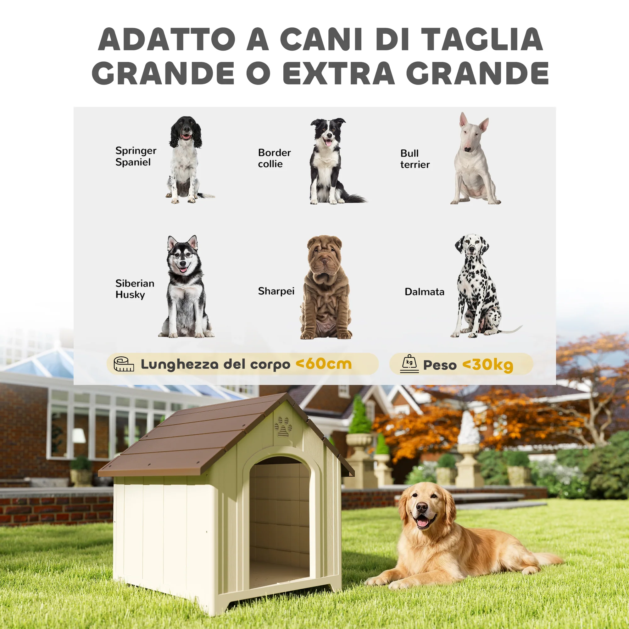 Immagine prodotto 5