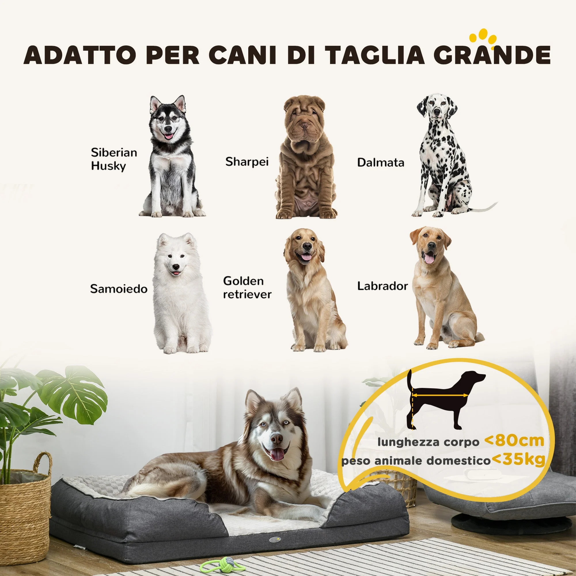 Immagine prodotto 4