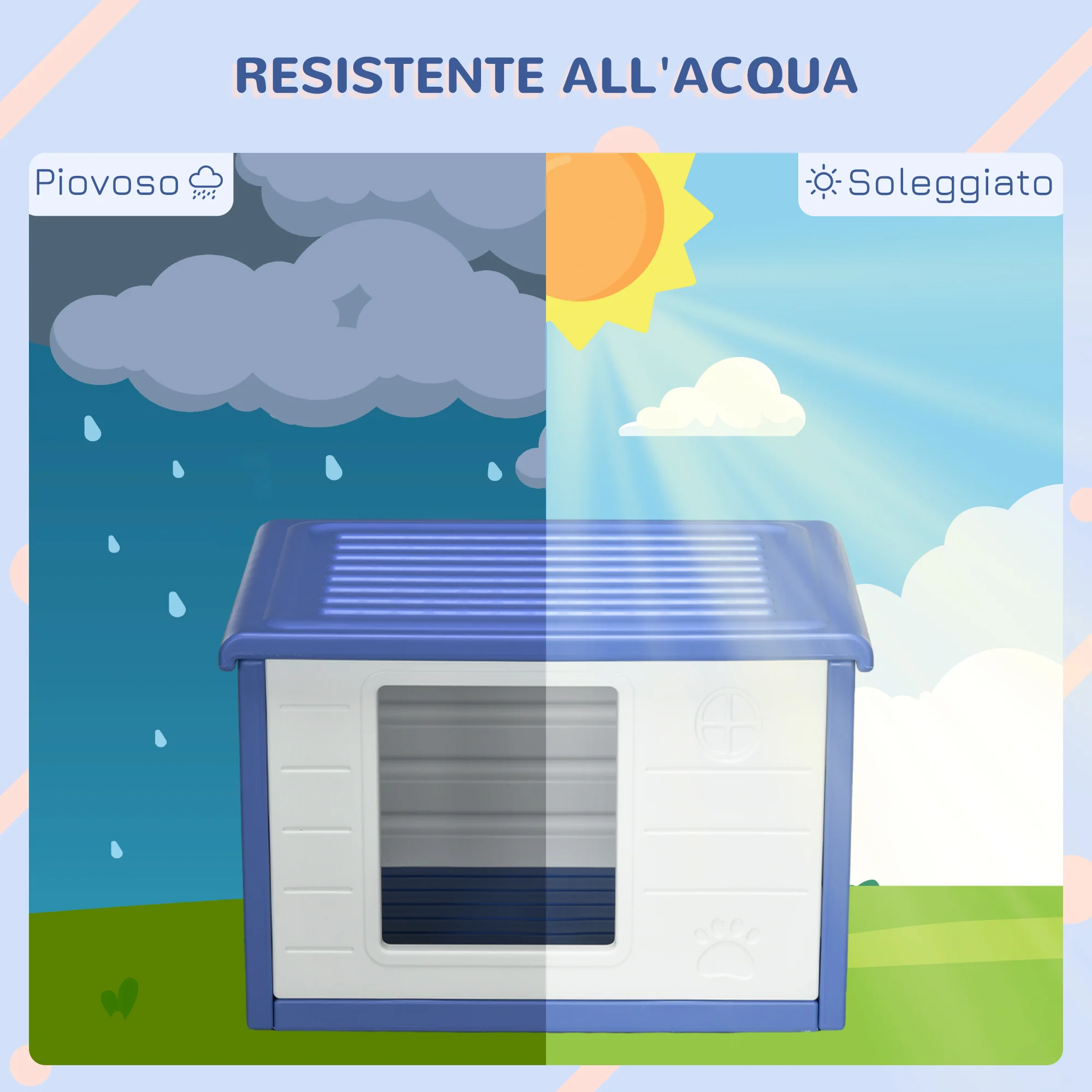 Immagine prodotto 6