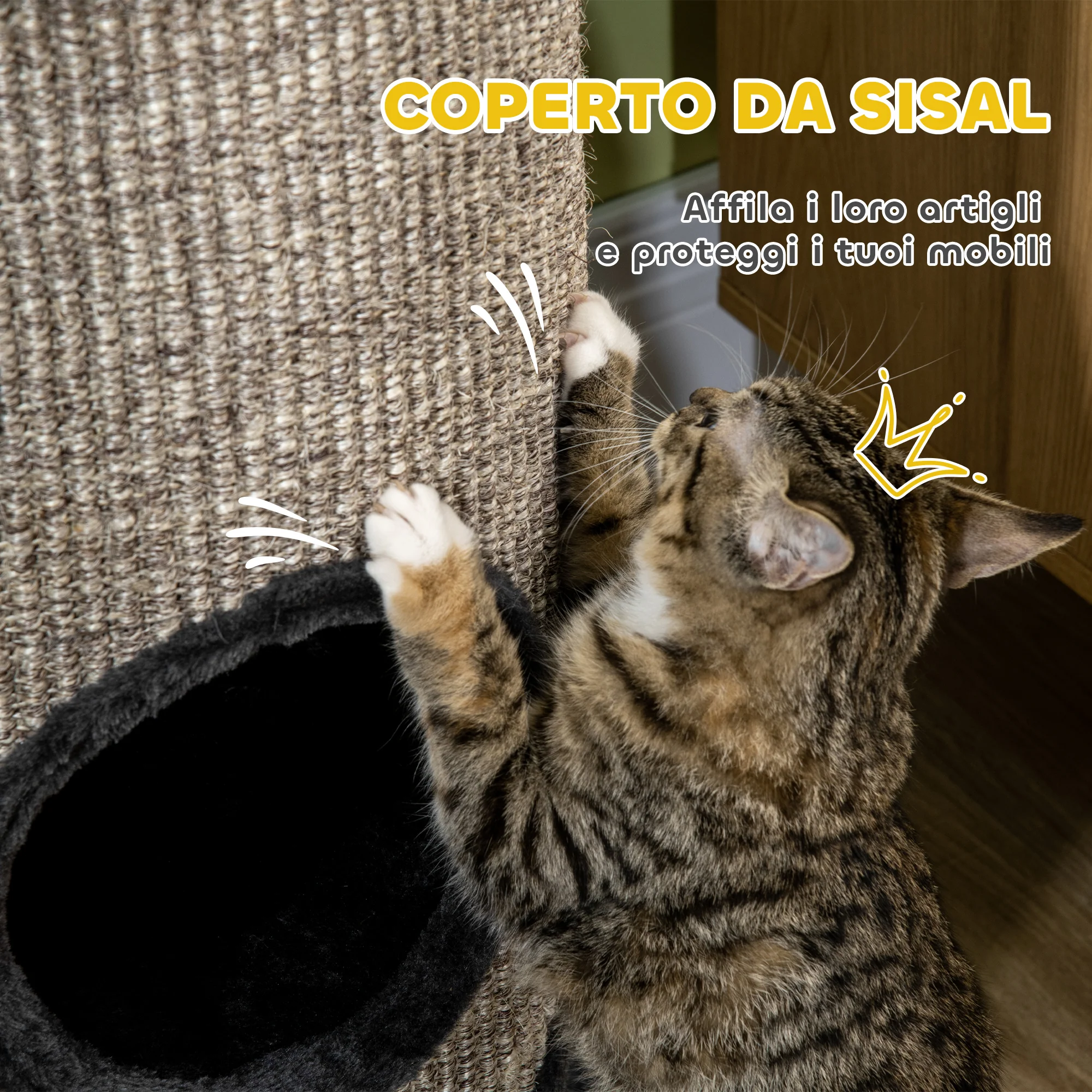 Immagine prodotto 6