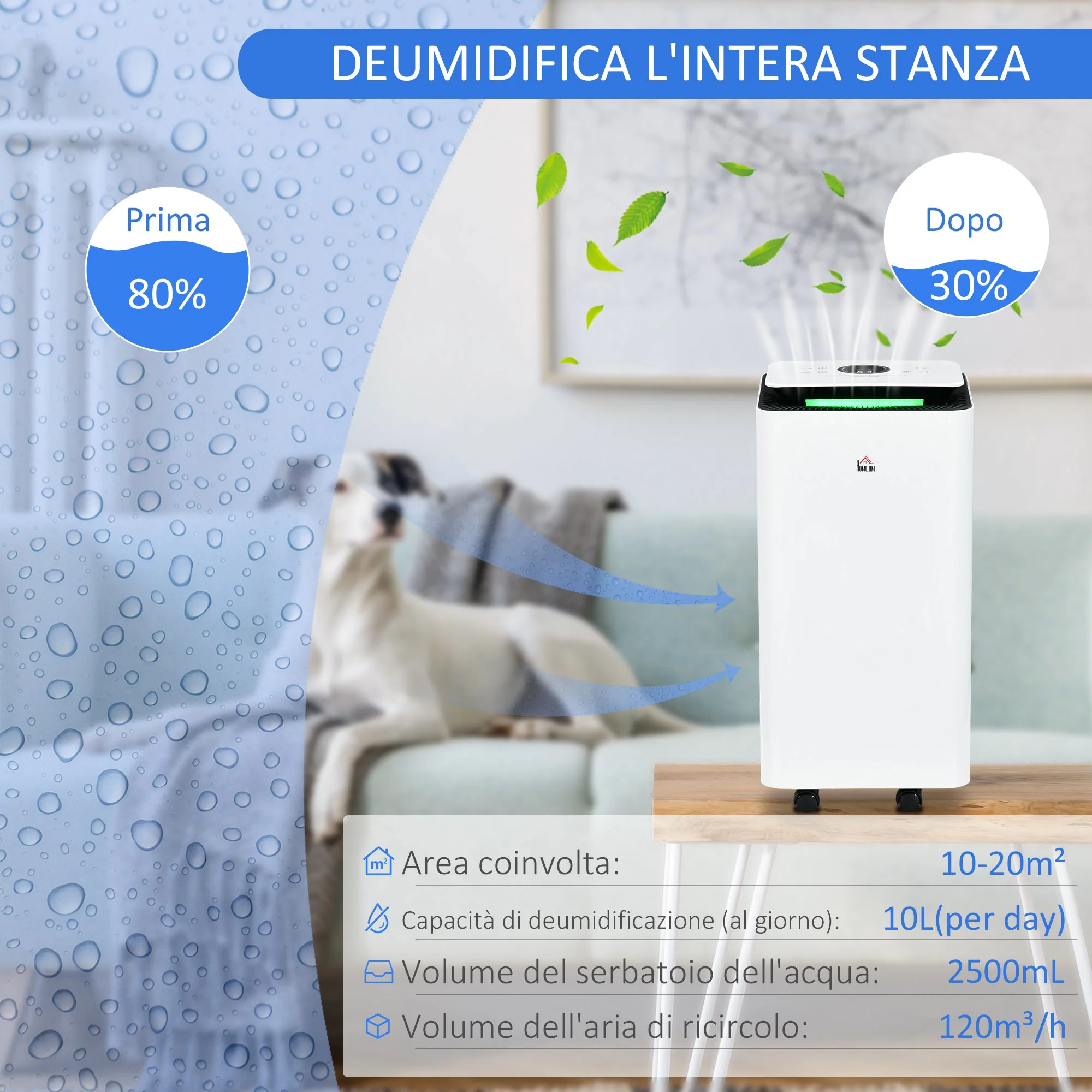 Immagine prodotto 4