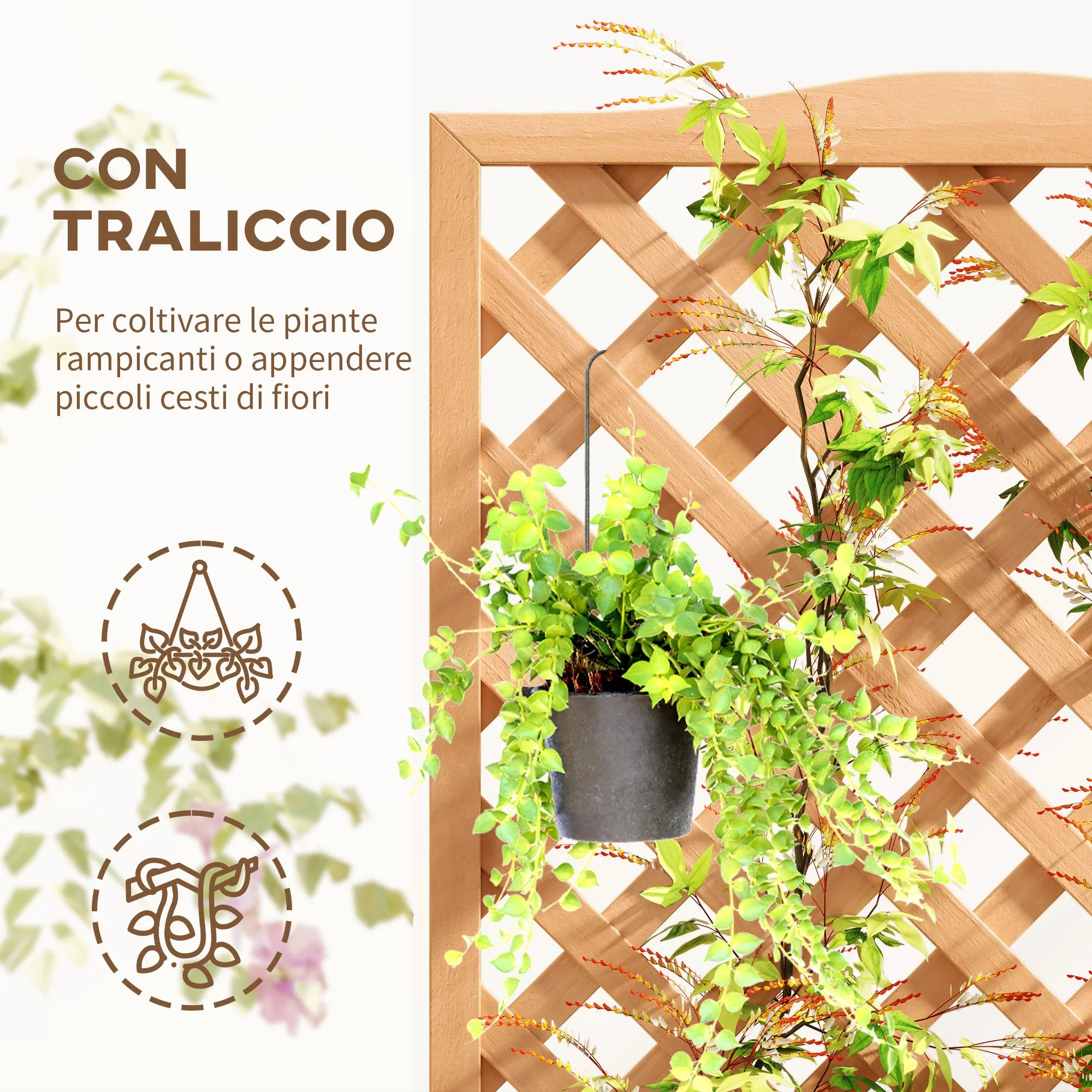 Immagine prodotto 5