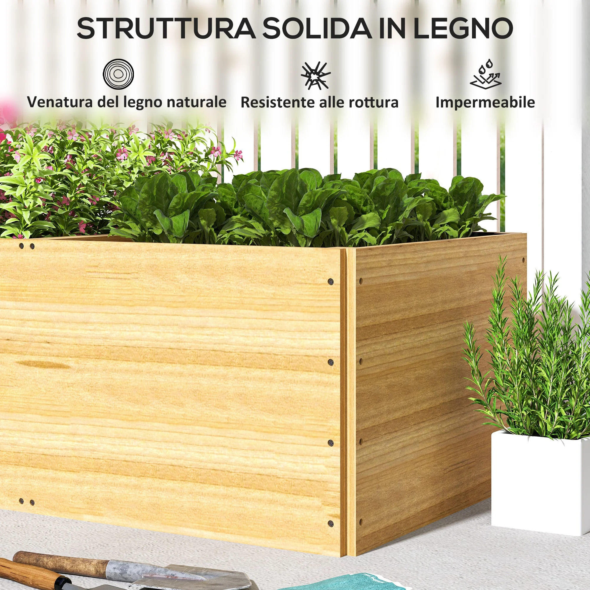 Immagine prodotto 7