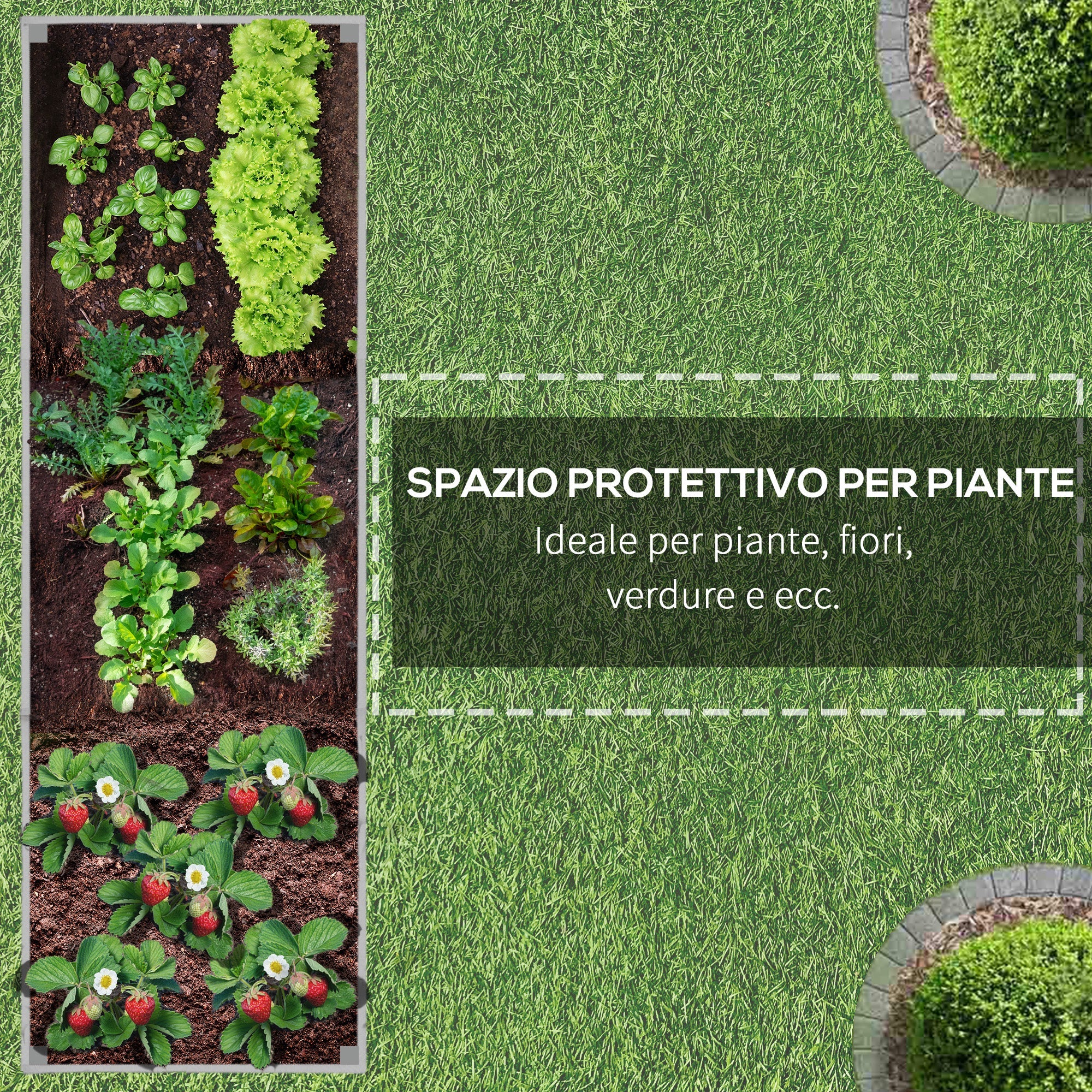 Immagine prodotto 6