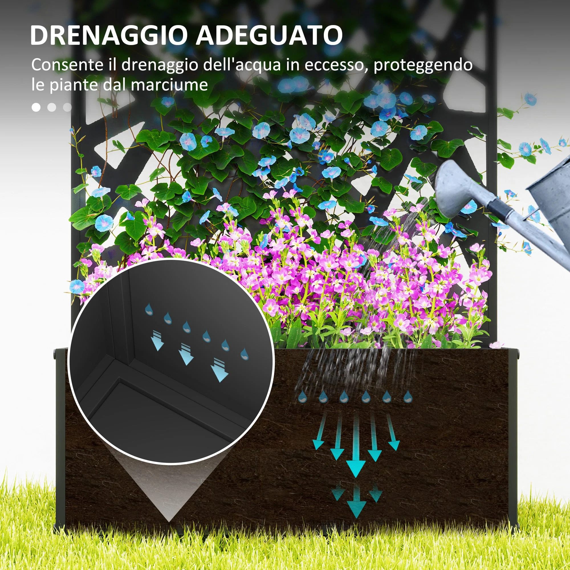 Immagine prodotto 5