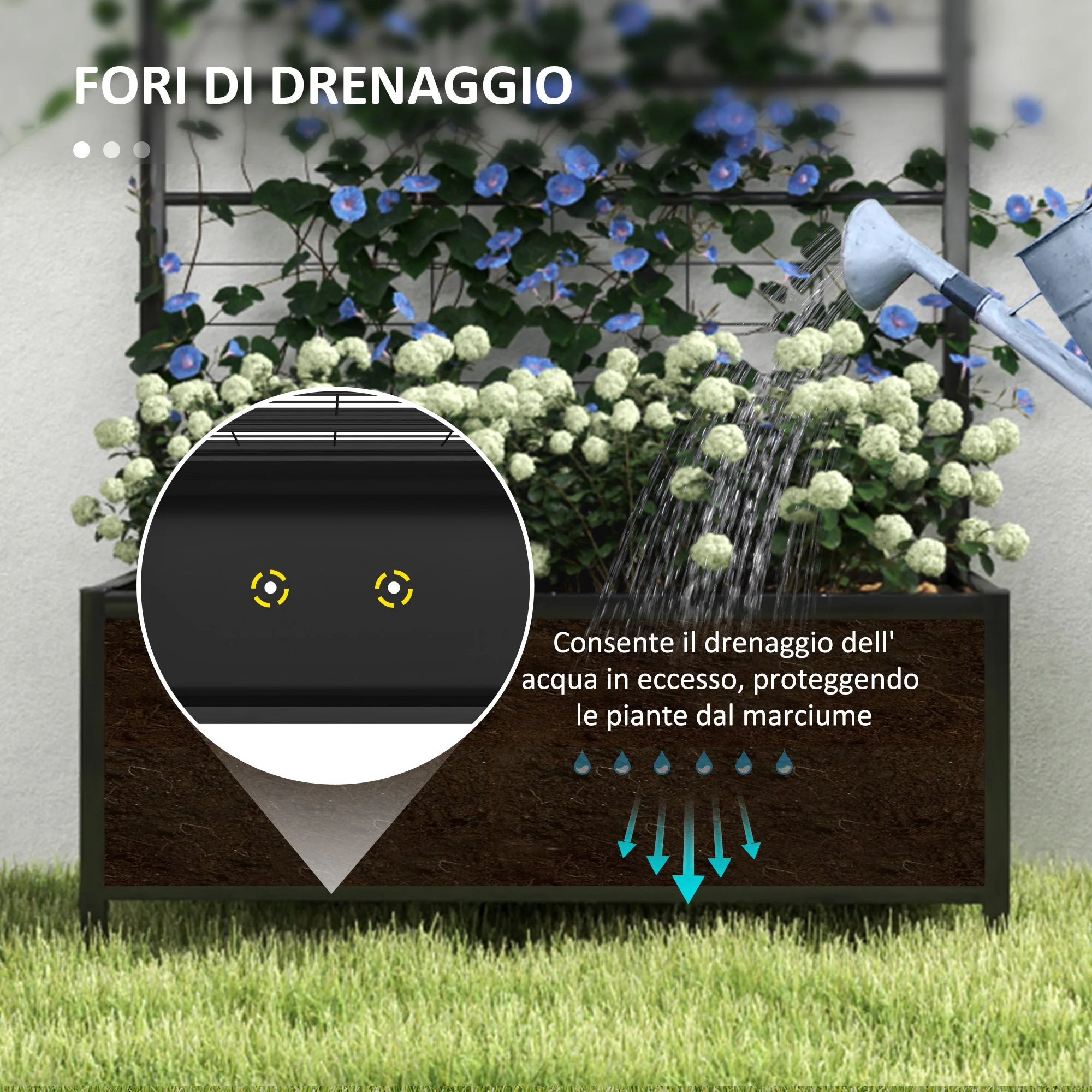 Immagine prodotto 5