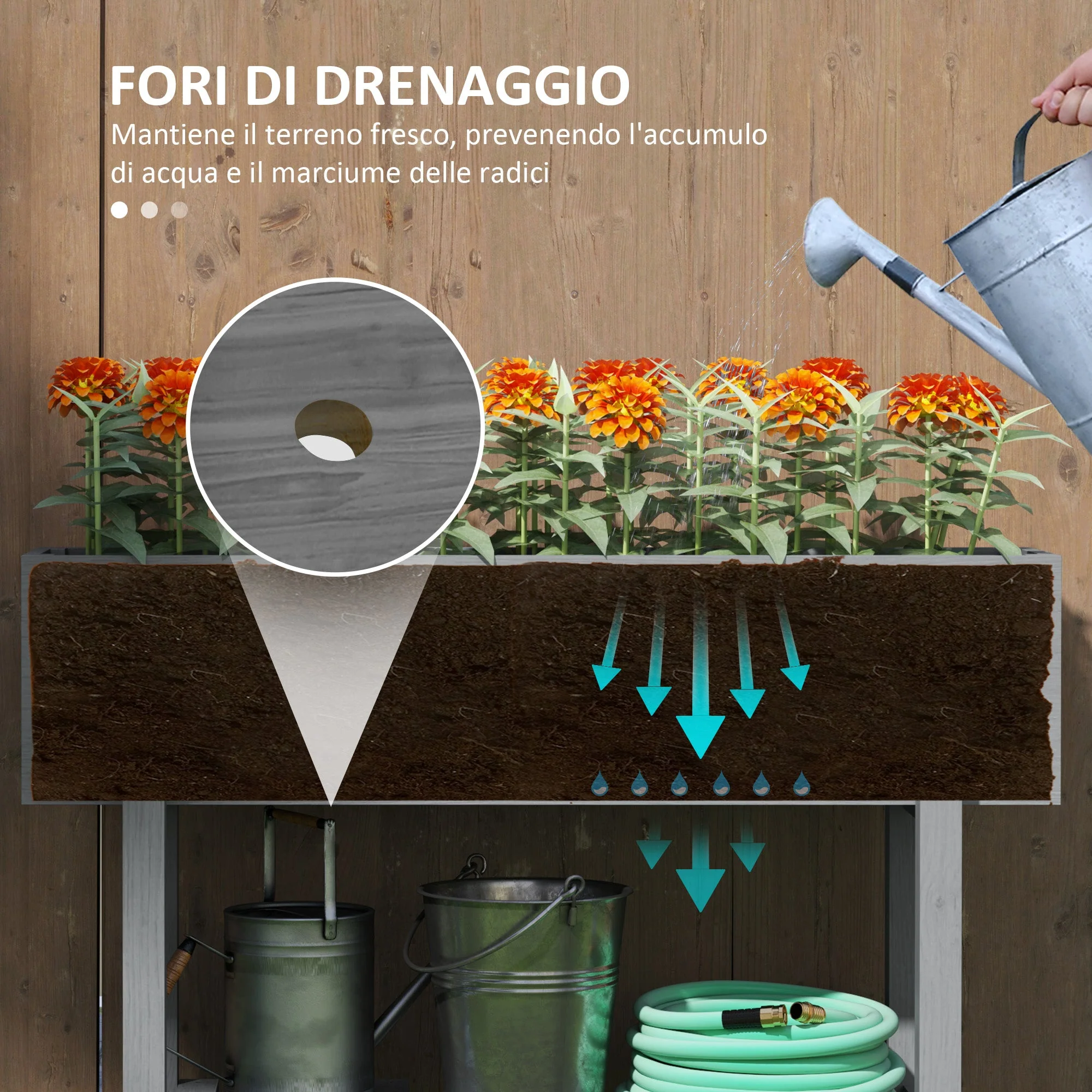 Immagine prodotto 5