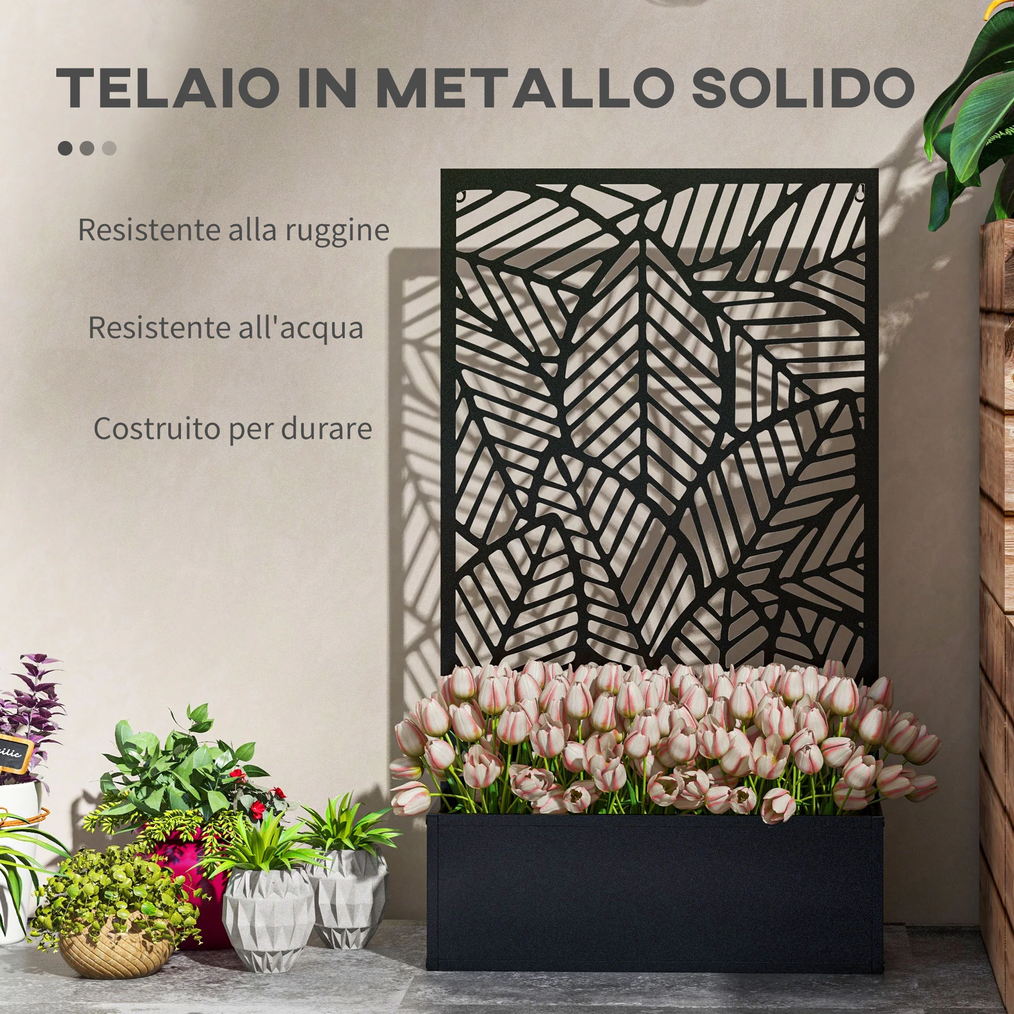 Immagine prodotto 6